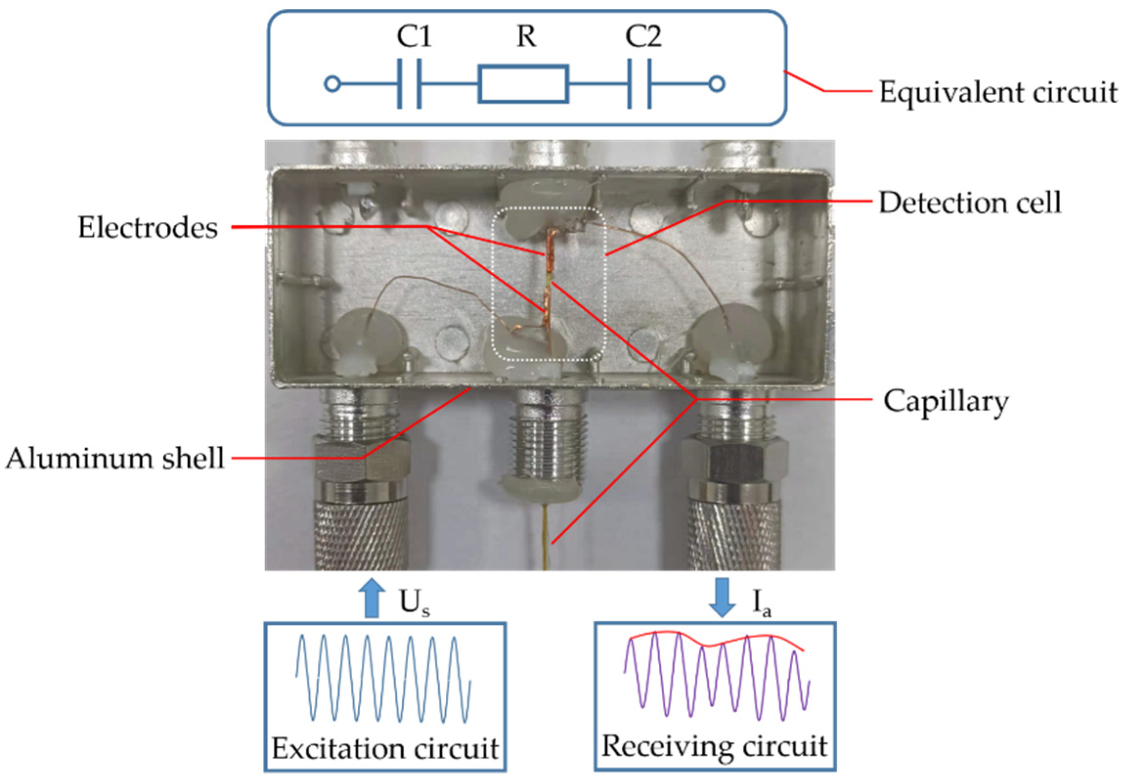 Chemosensors 10 00084 g001