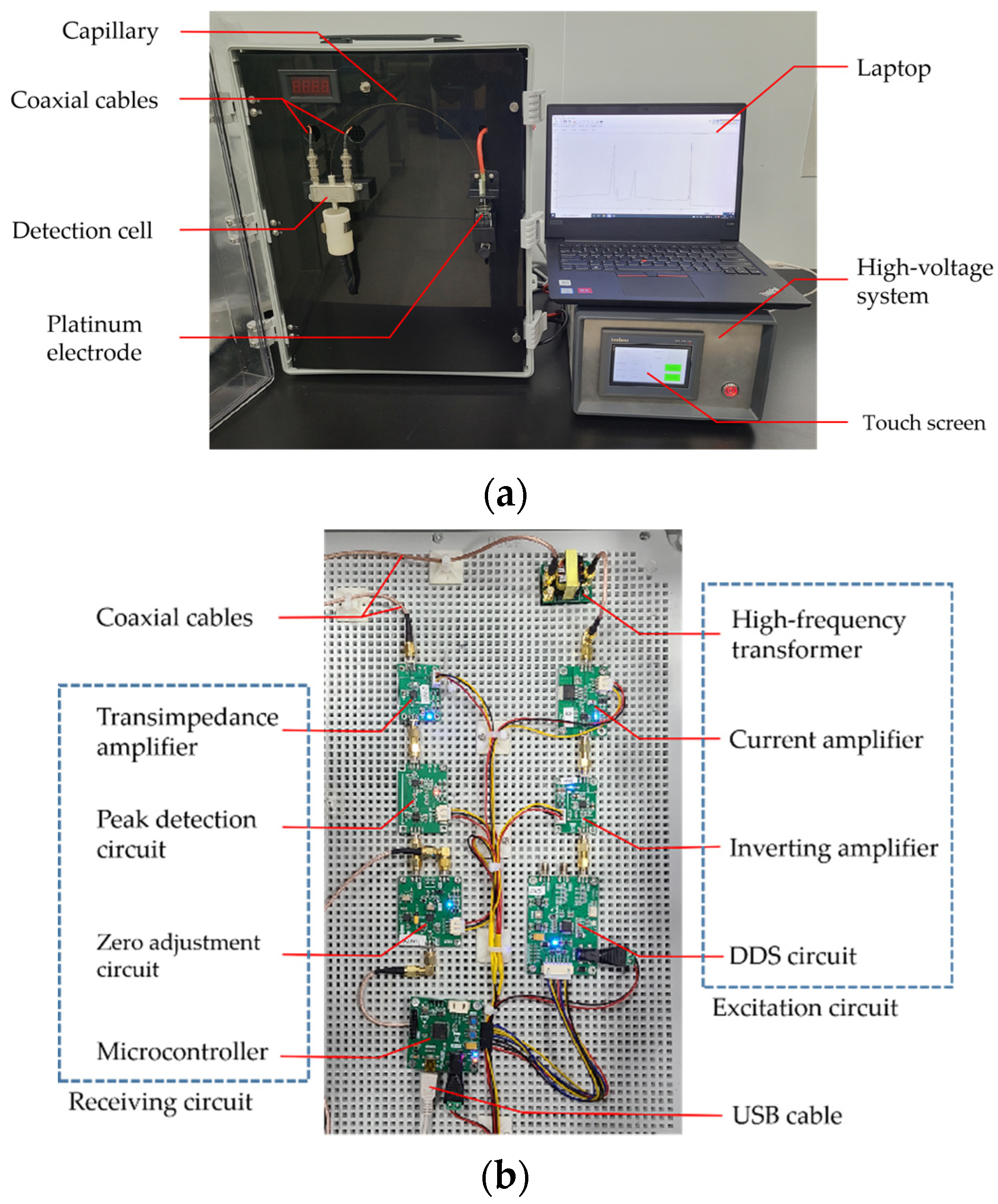 Chemosensors 10 00084 g004