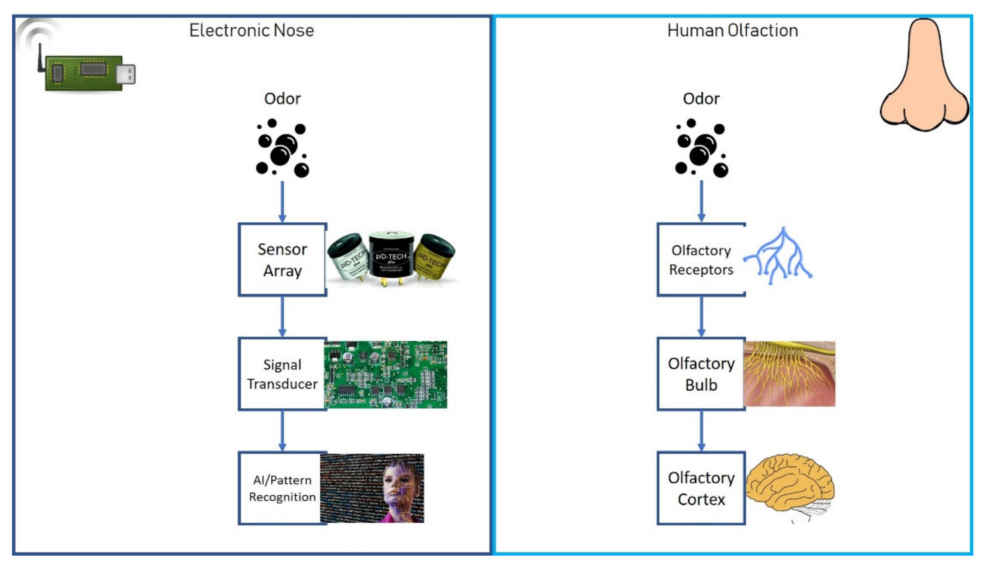 Chemosensors 10 00085 g001