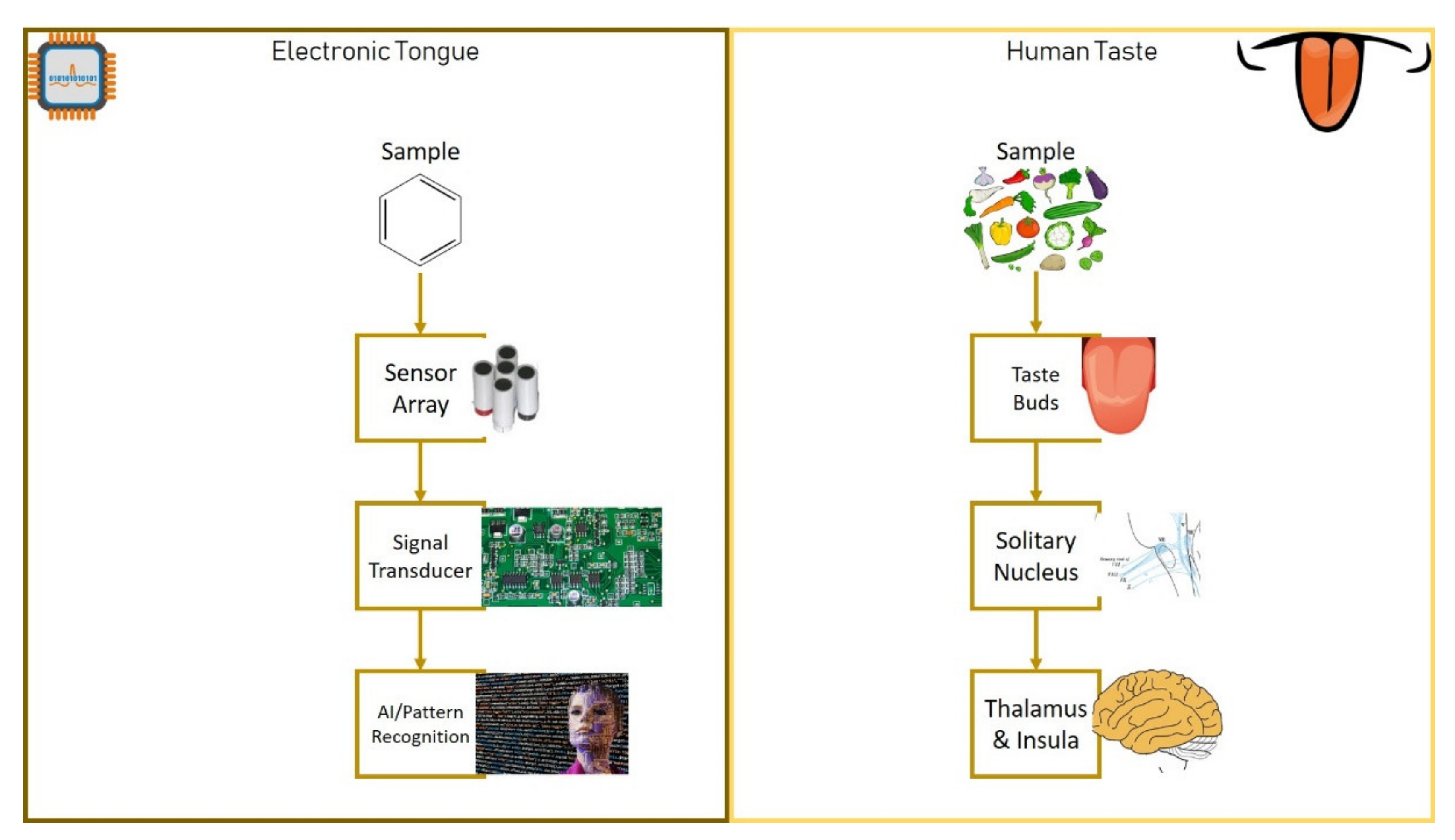 Chemosensors 10 00085 g002