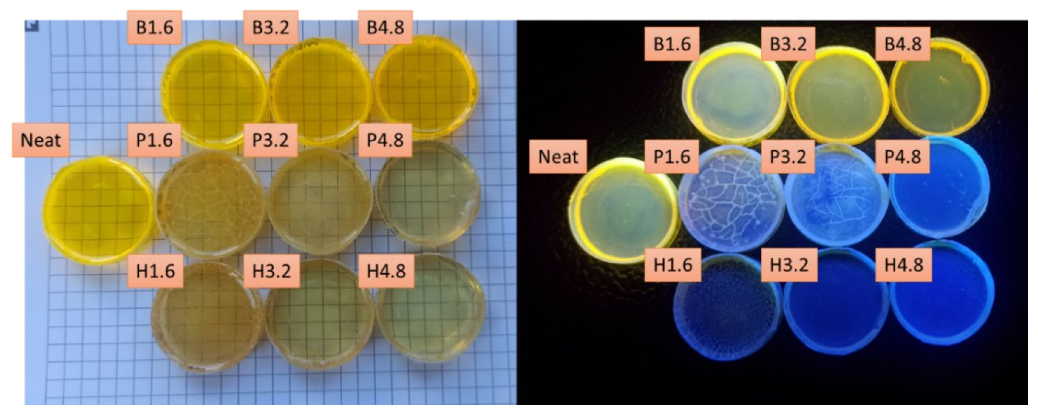 Chemosensors 10 00086 g005