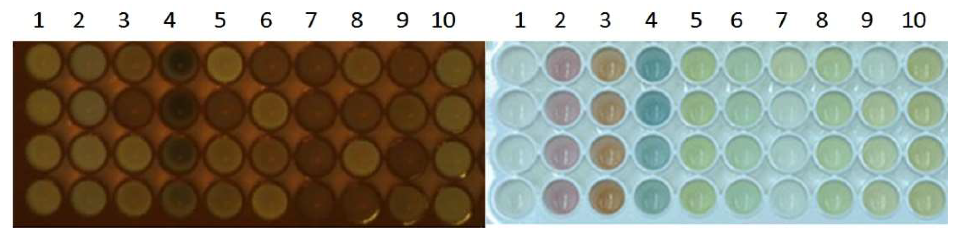 Chemosensors 10 00088 g004
