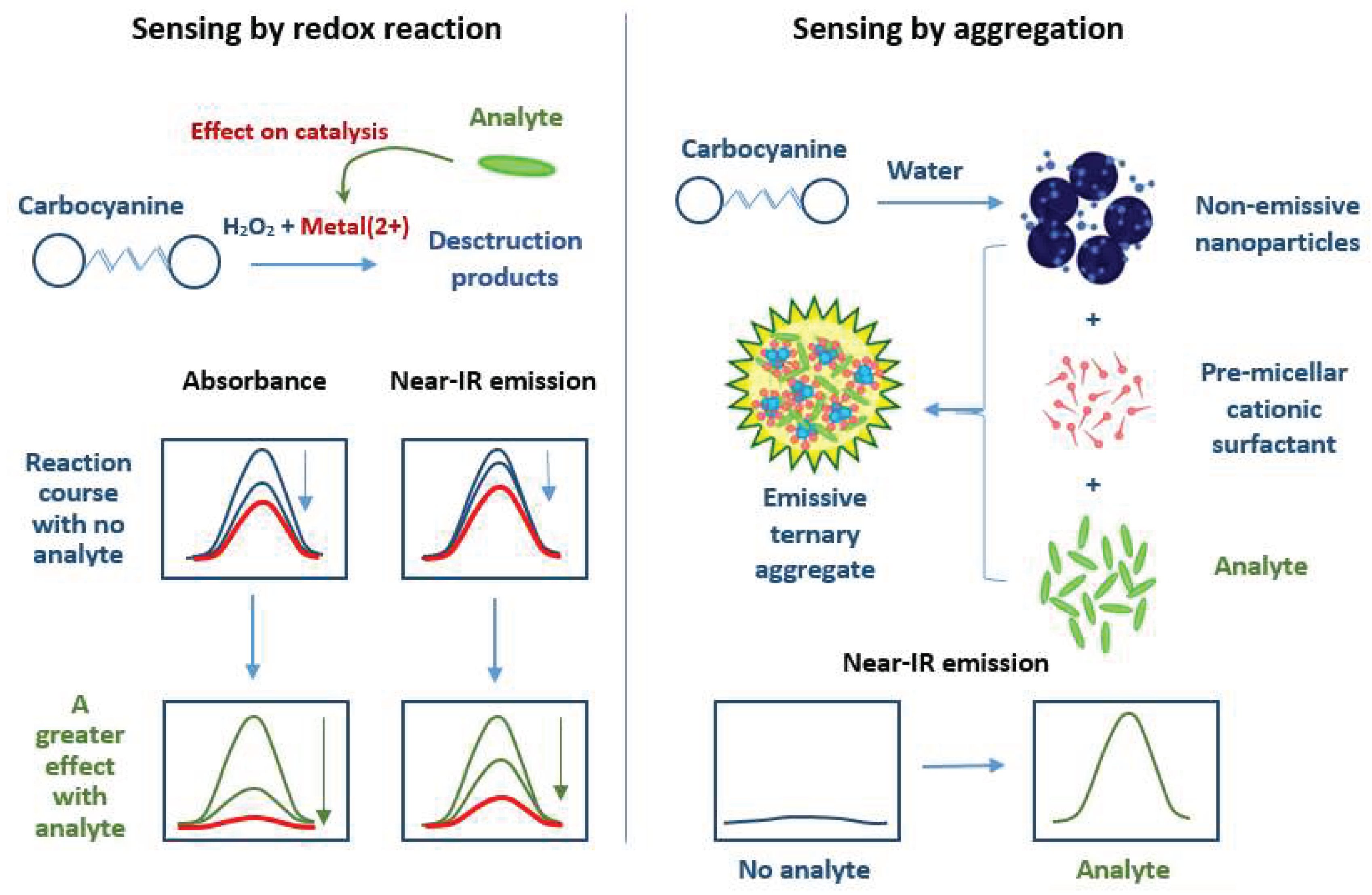 Chemosensors 10 00088 sch001