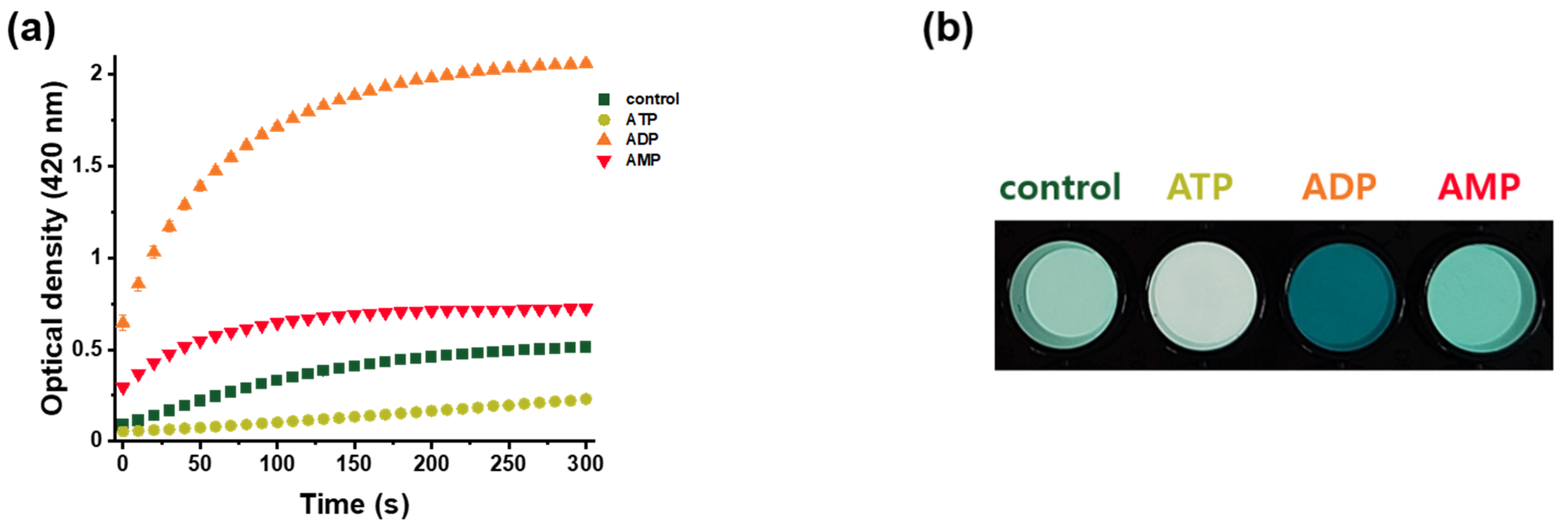 Chemosensors 10 00089 g001