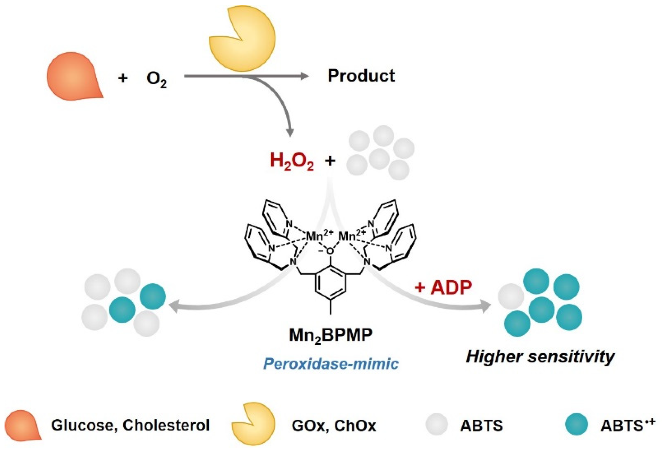Chemosensors 10 00089 sch001
