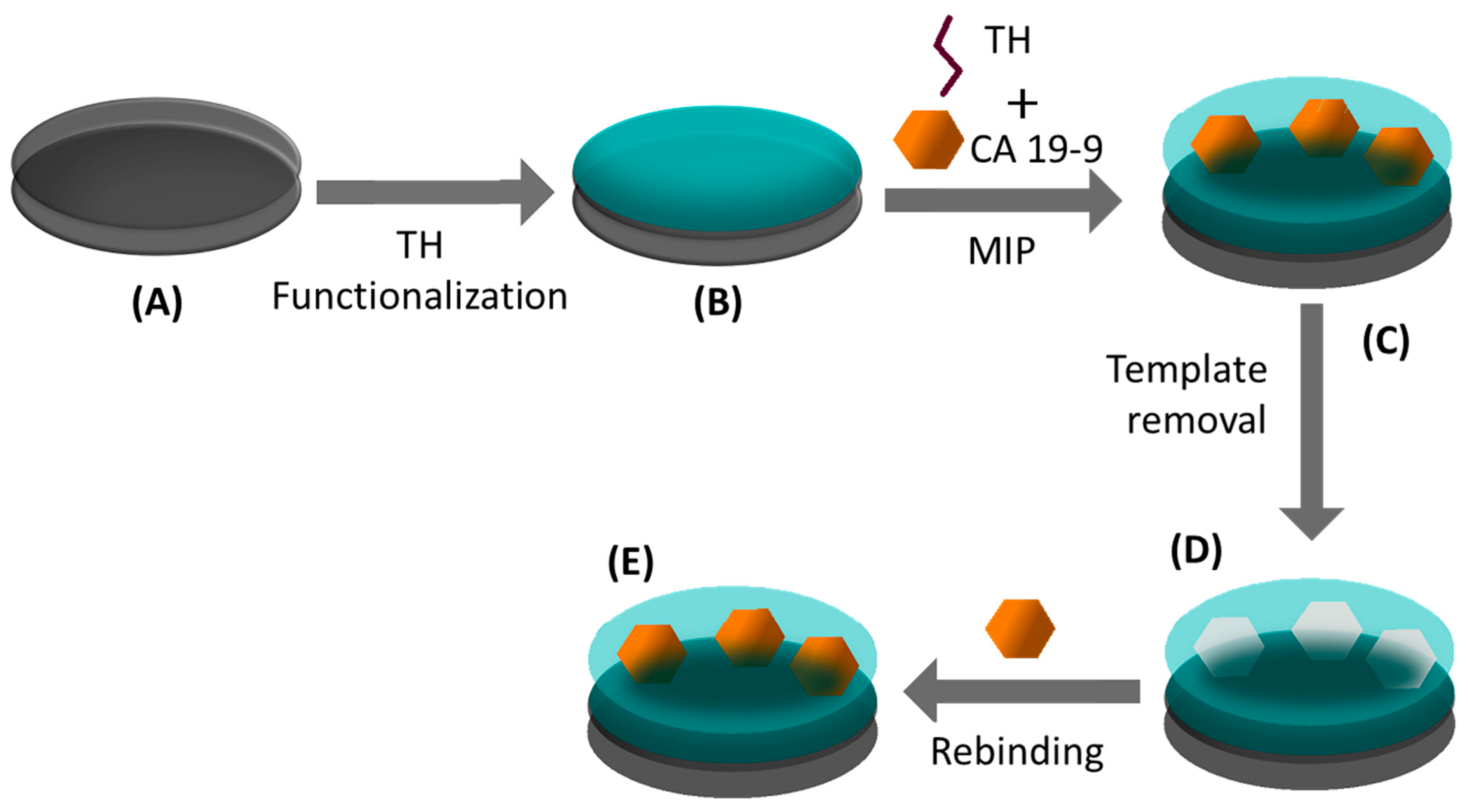 Chemosensors 10 00092 g001