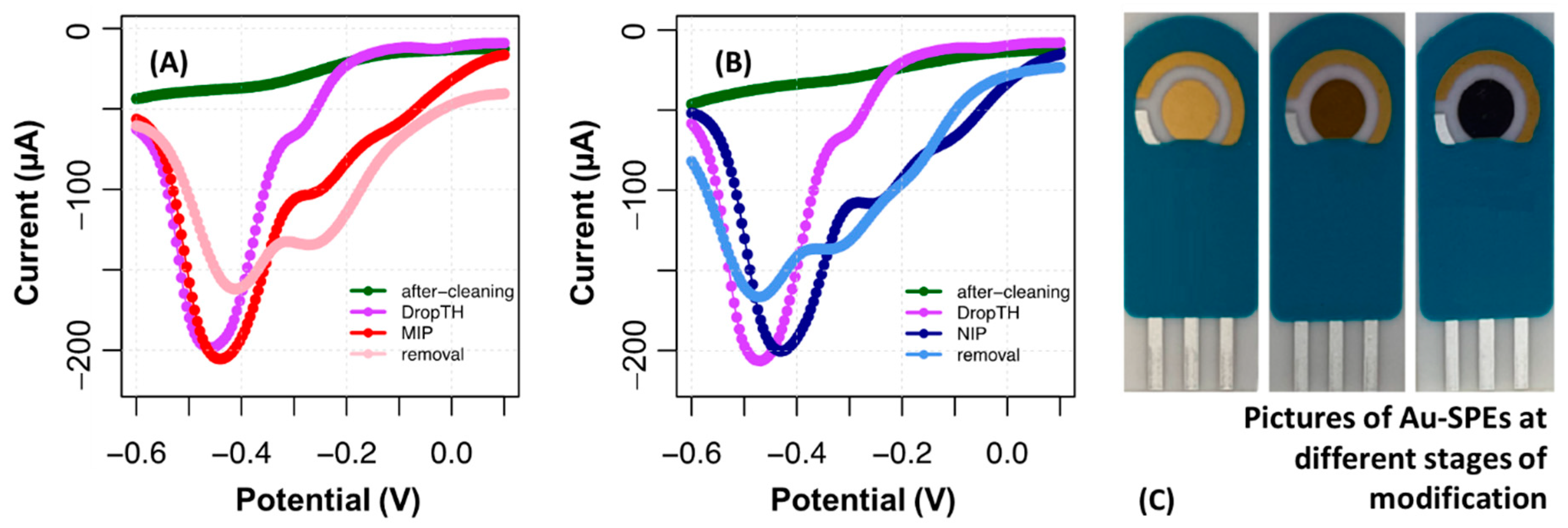 Chemosensors 10 00092 g007