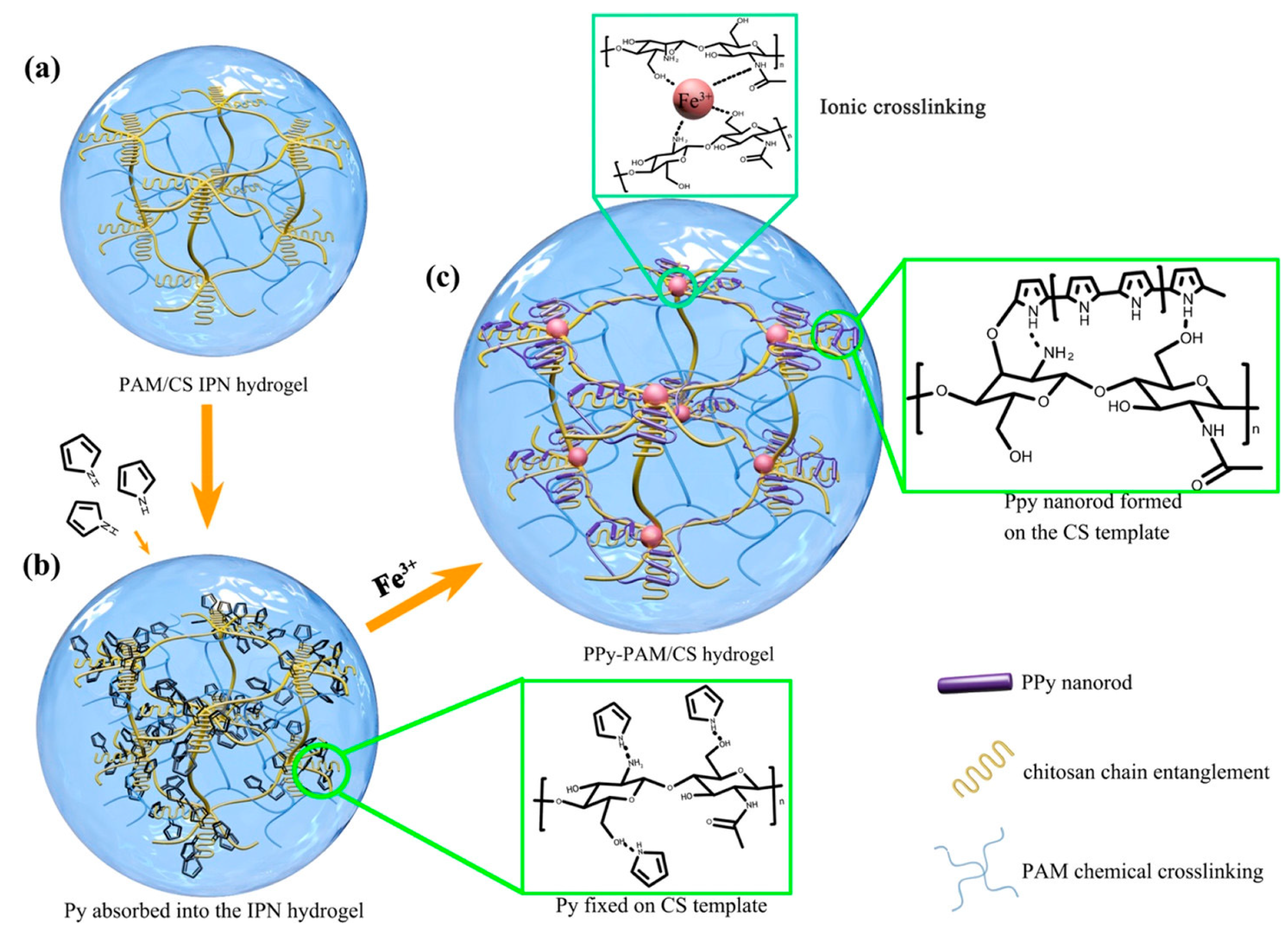 Chemosensors 10 00097 g002