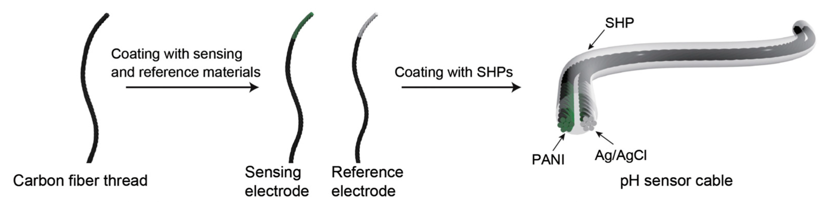 Chemosensors 10 00097 g006