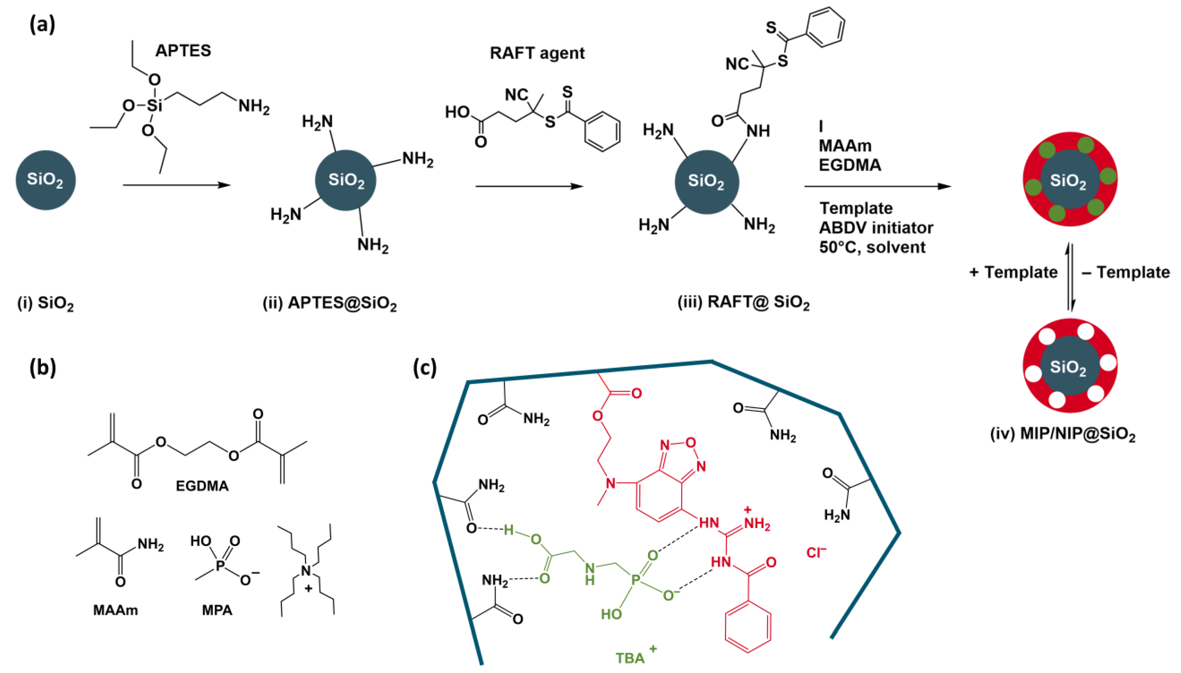 Chemosensors 10 00099 g005