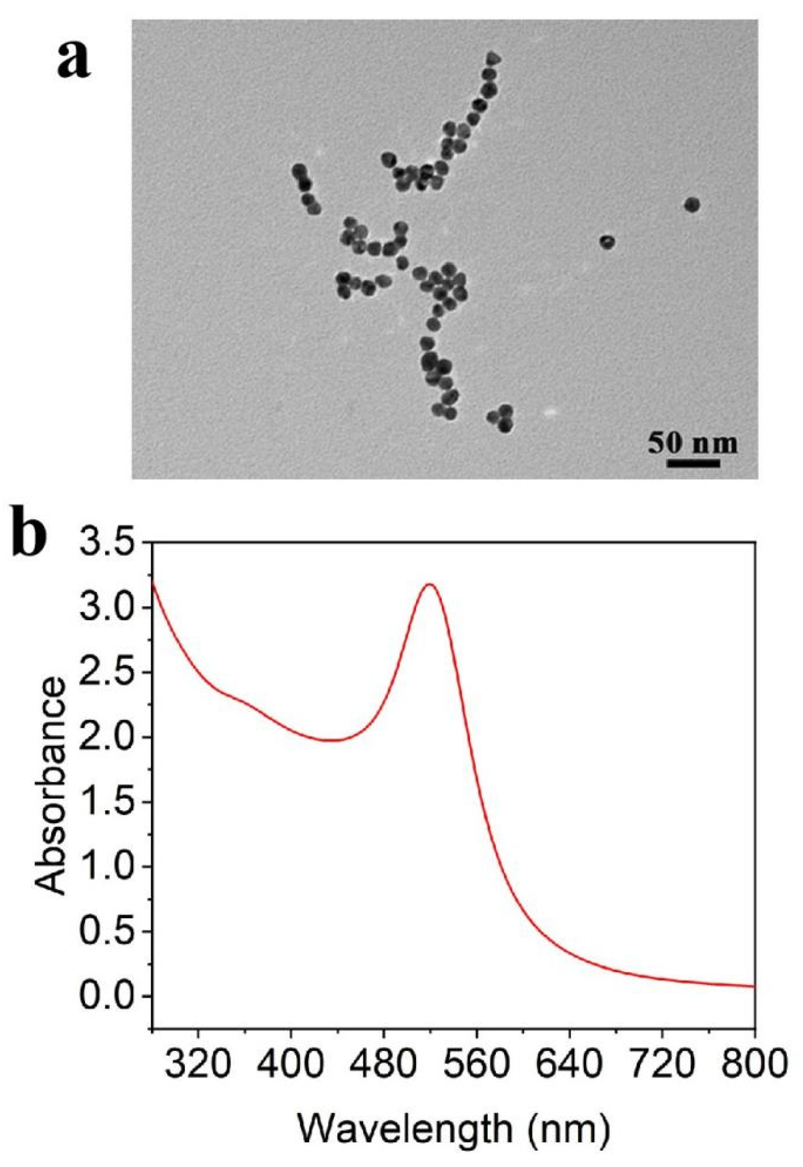 Chemosensors 10 00100 g001