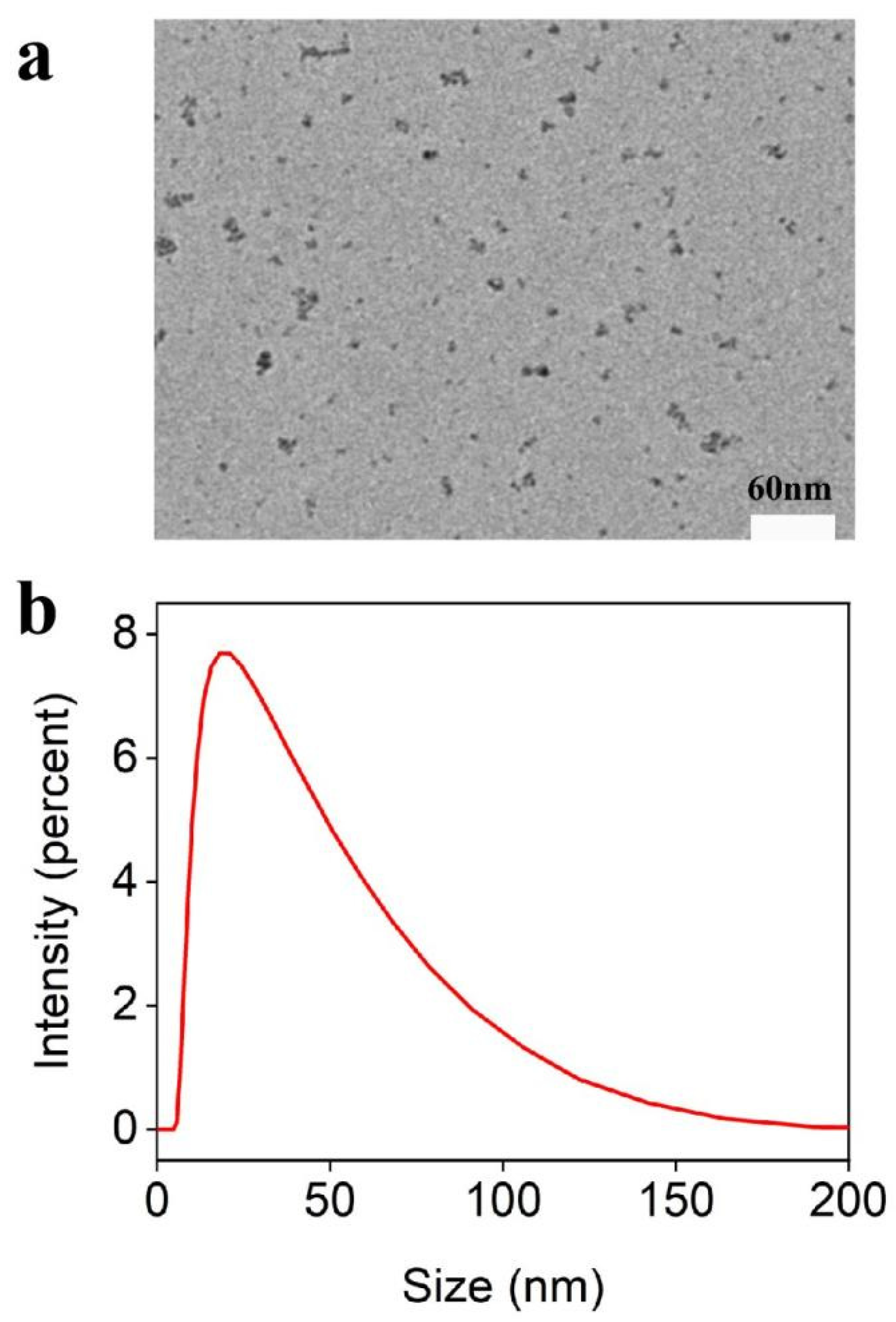Chemosensors 10 00100 g002