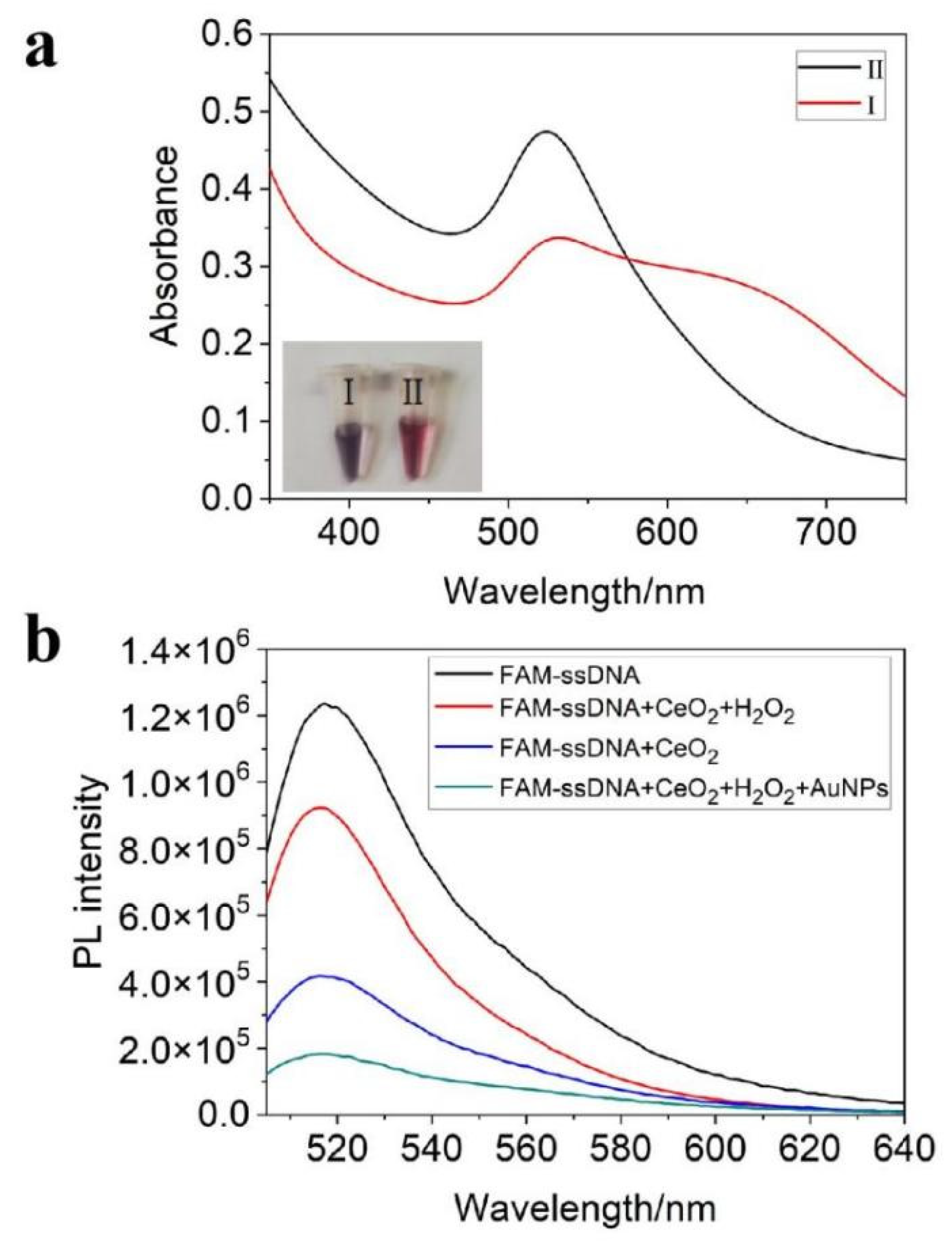 Chemosensors 10 00100 g003