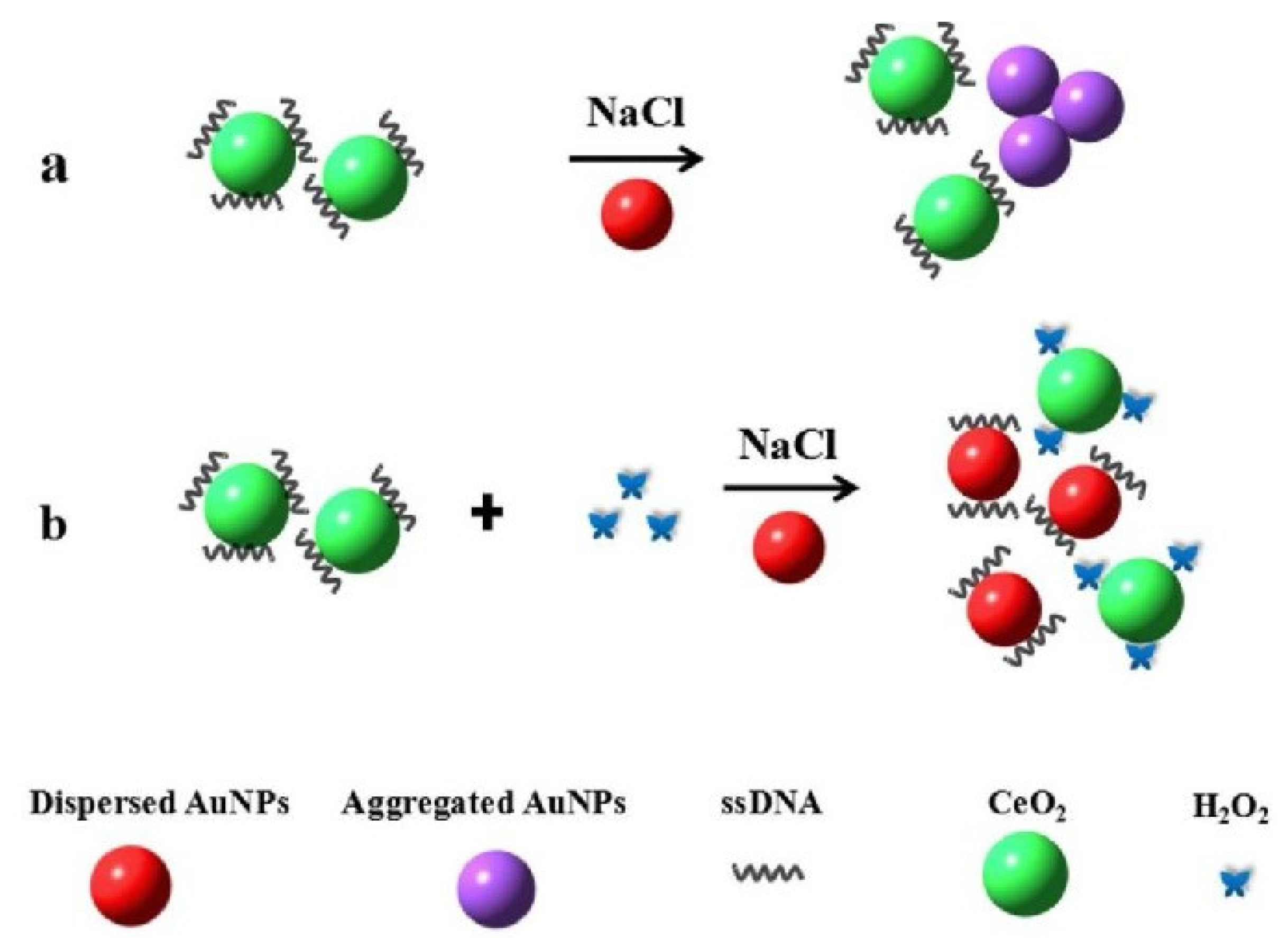 Chemosensors 10 00100 sch001