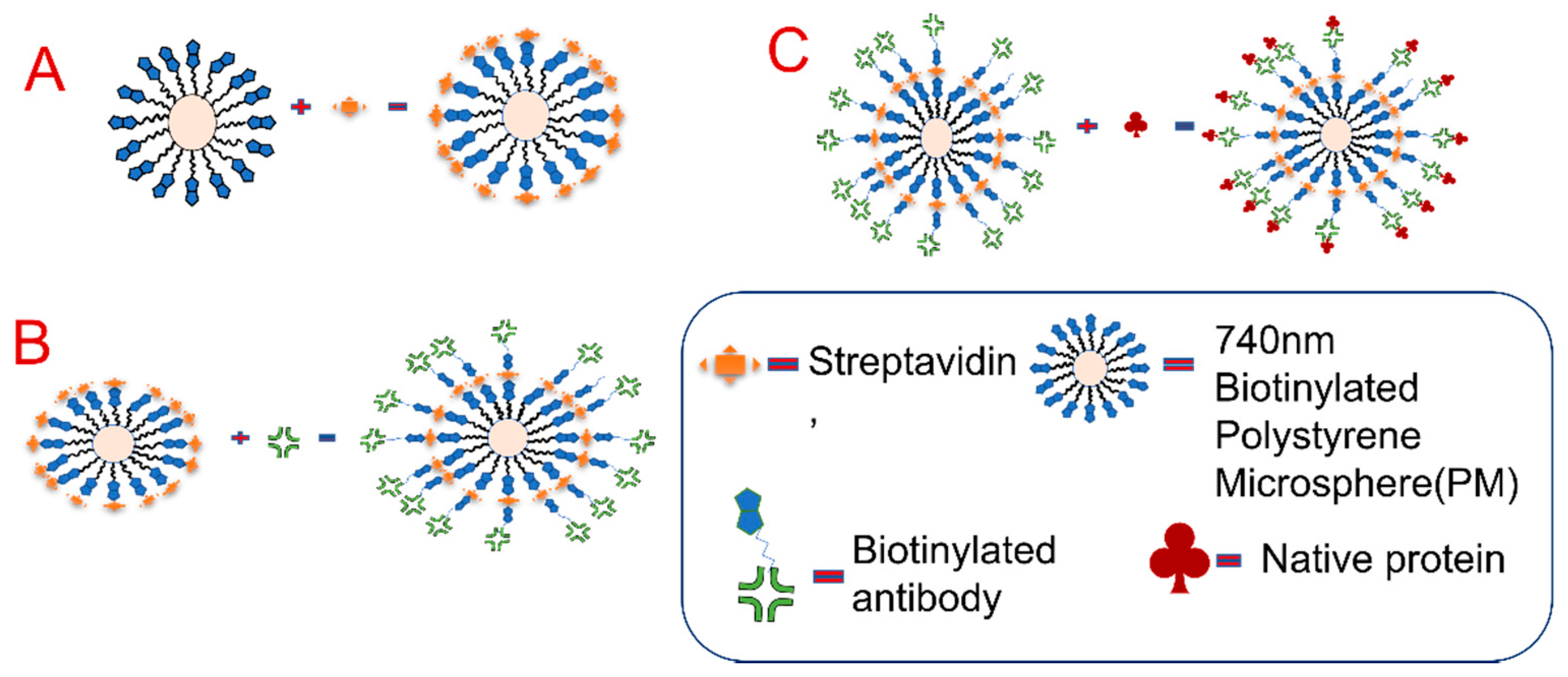 Chemosensors 10 00104 g002