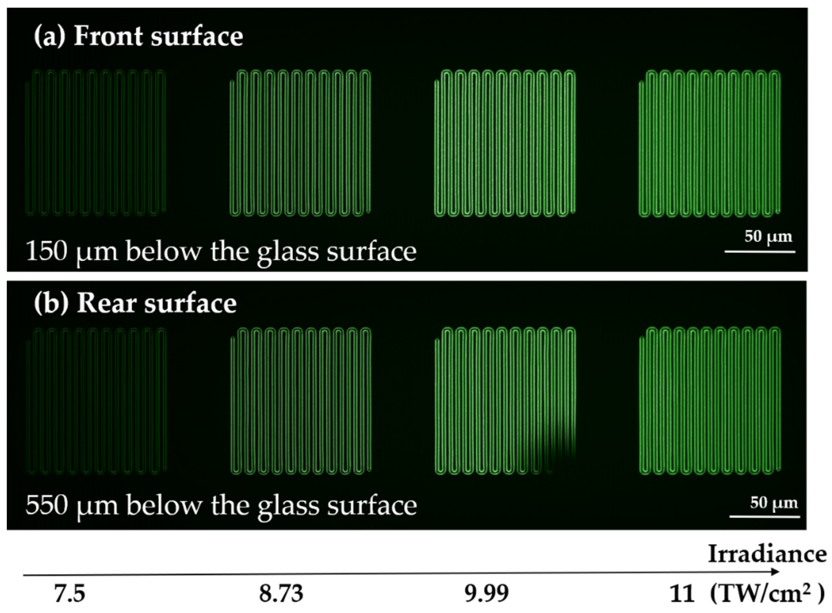 Chemosensors 10 00110 g001