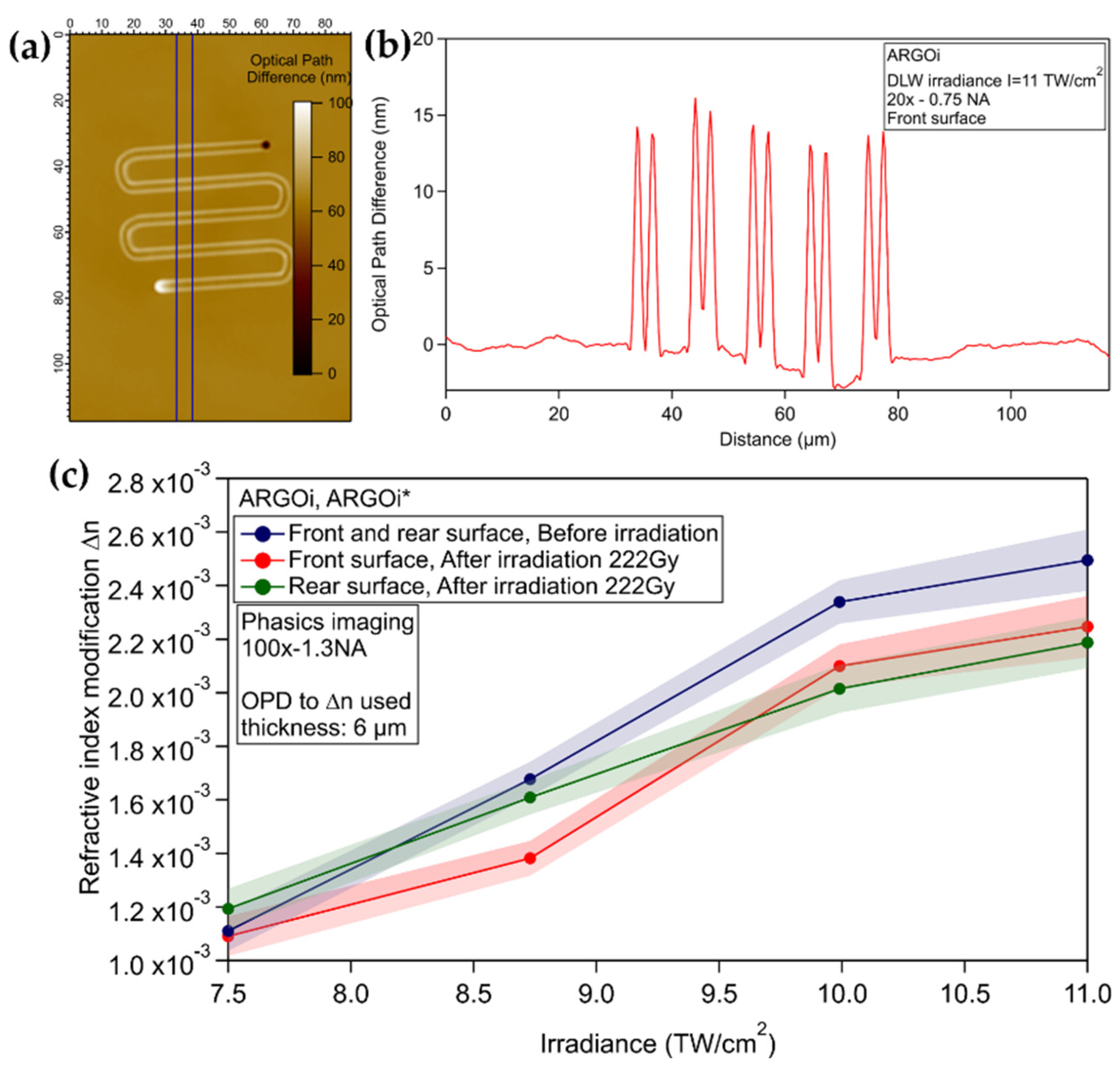 Chemosensors 10 00110 g010