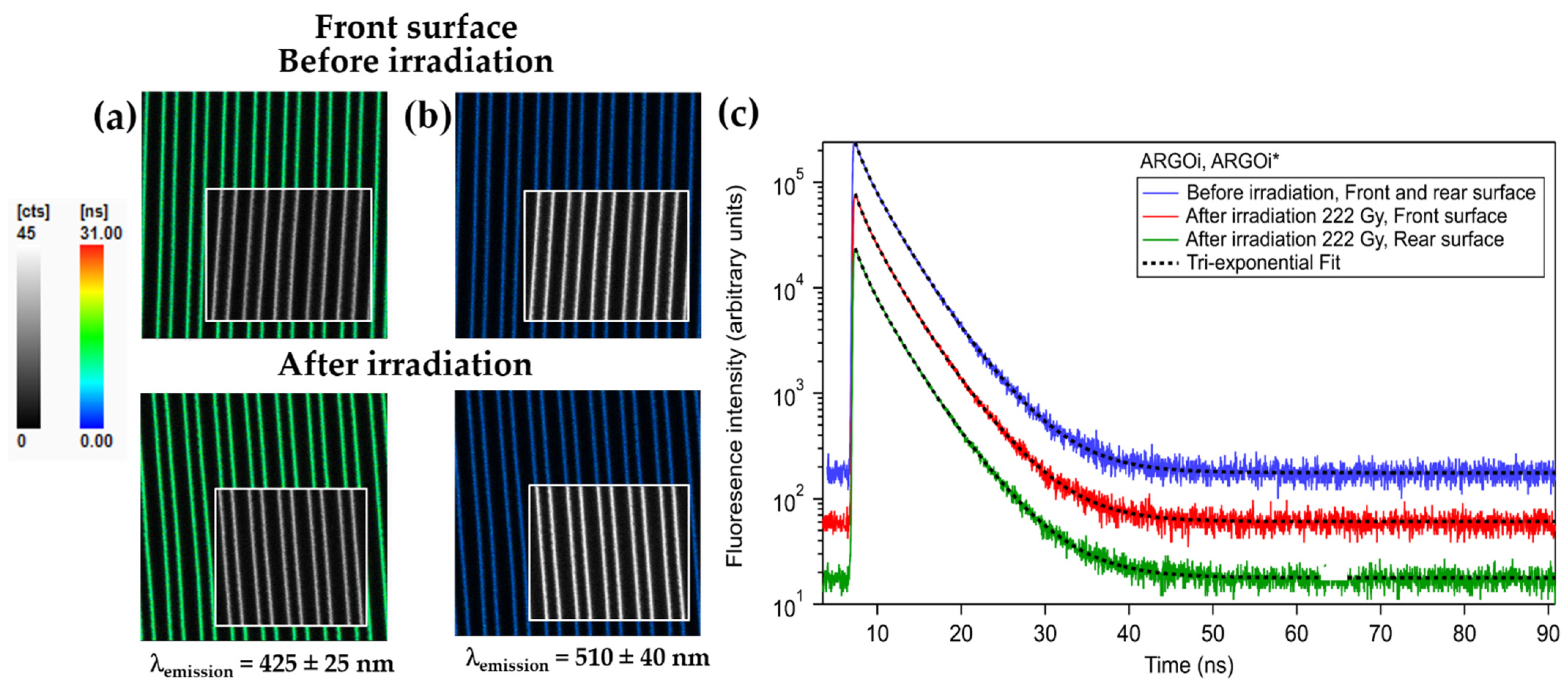Chemosensors 10 00110 g013