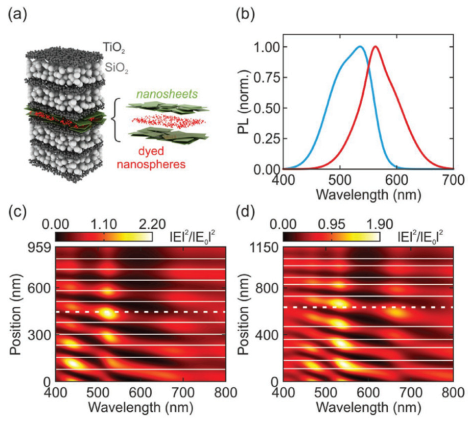 Chemosensors 10 00112 g006