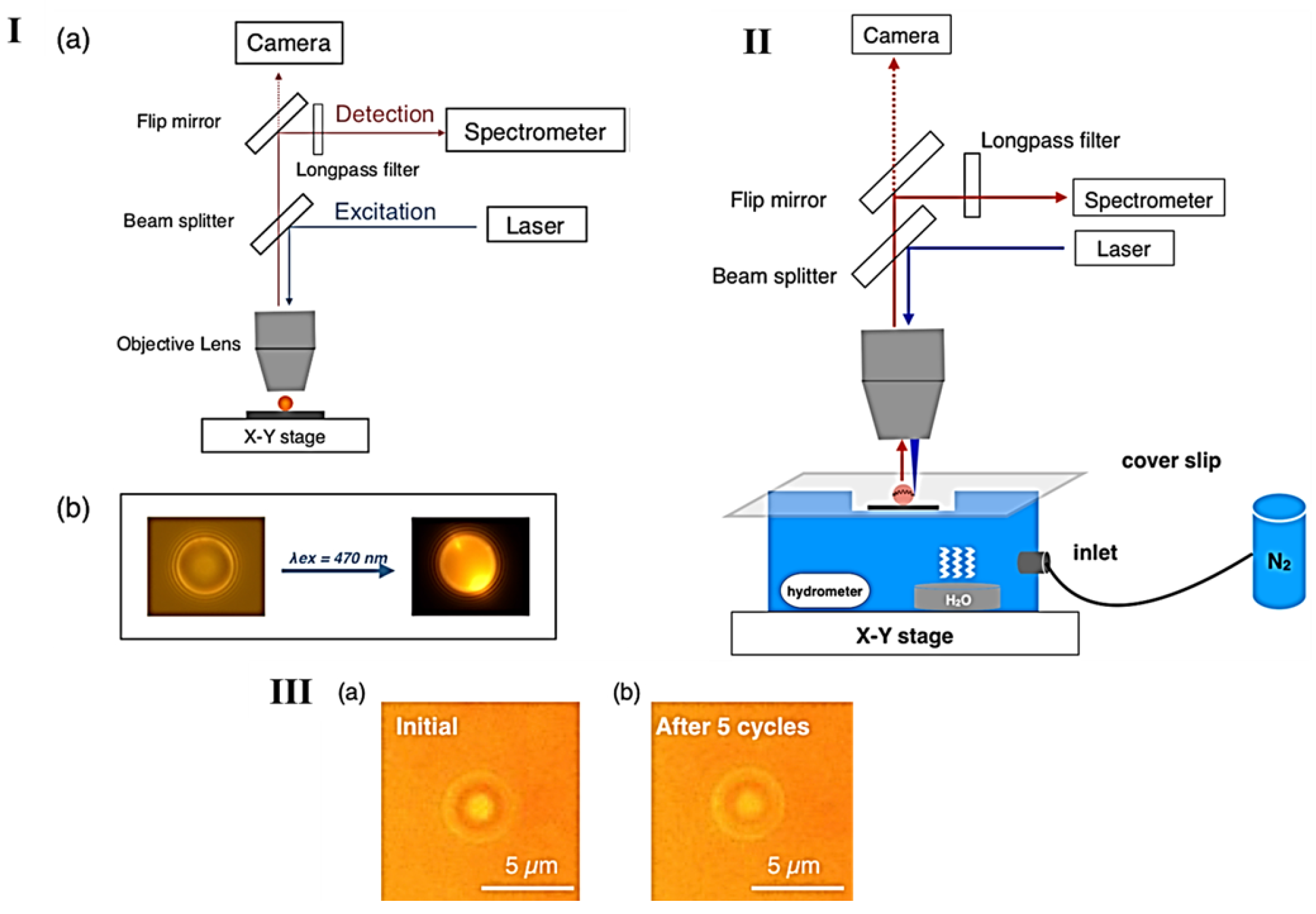 Chemosensors 10 00112 g007