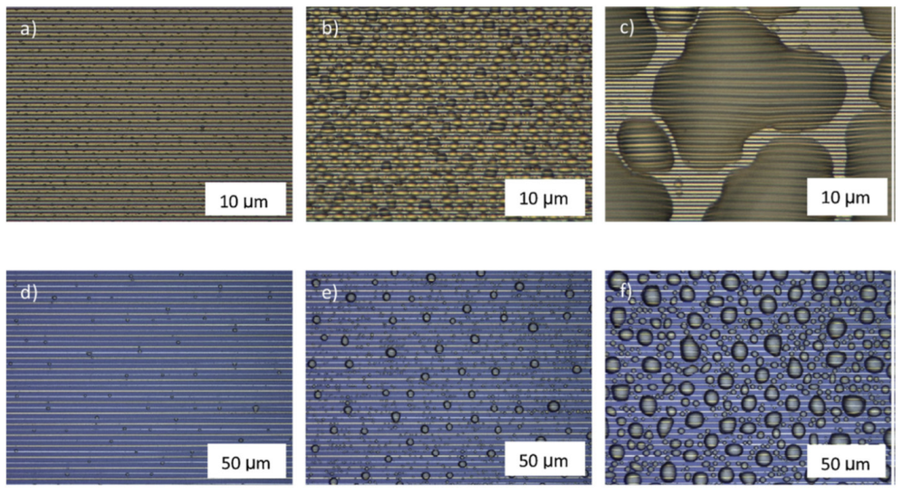 Chemosensors 10 00112 g010