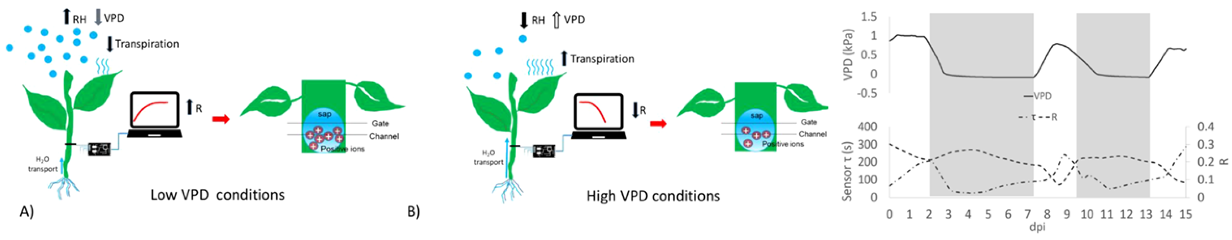 Chemosensors 10 00112 g014