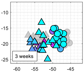 Chemosensors 10 00118 i007