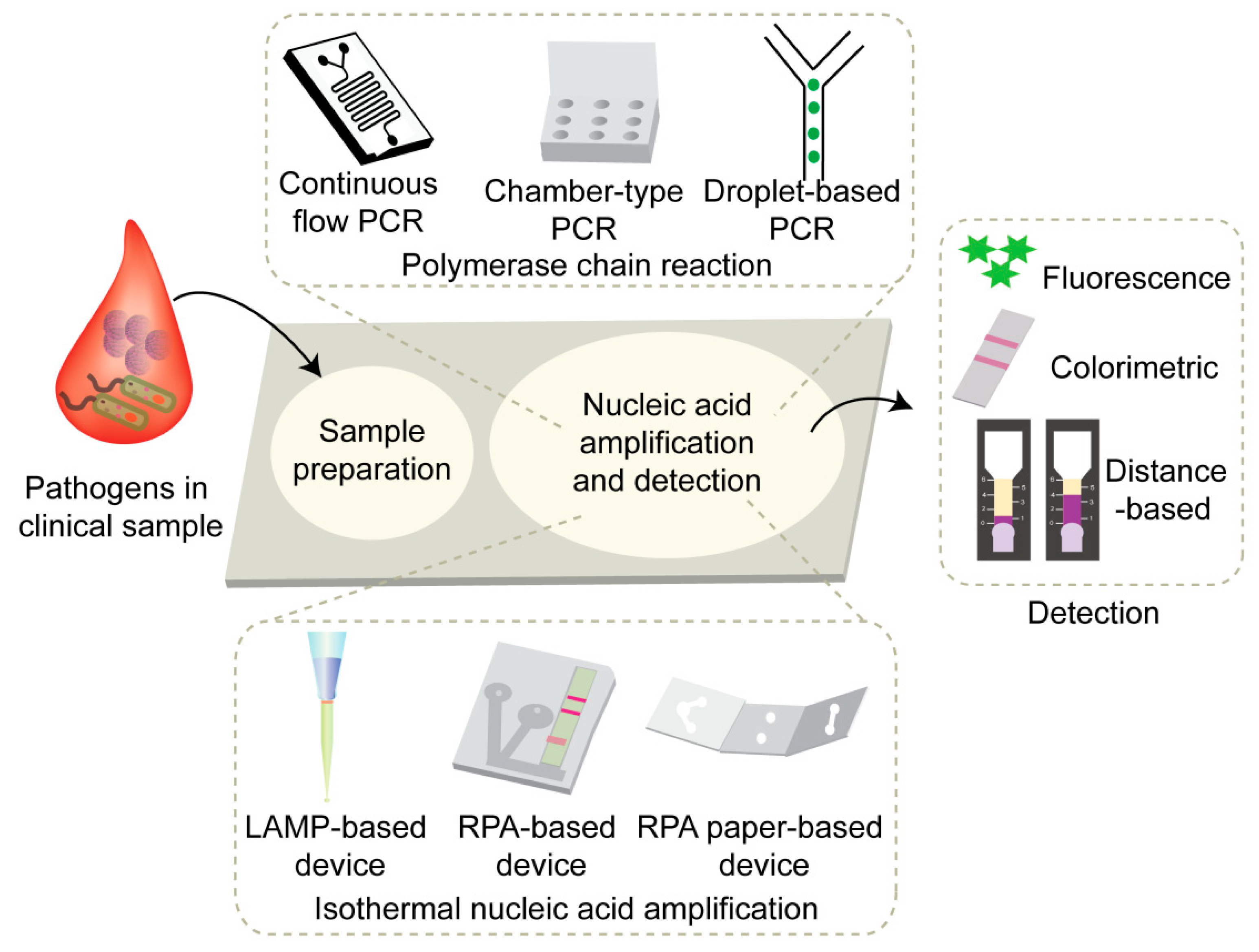 Chemosensors 10 00123 g001