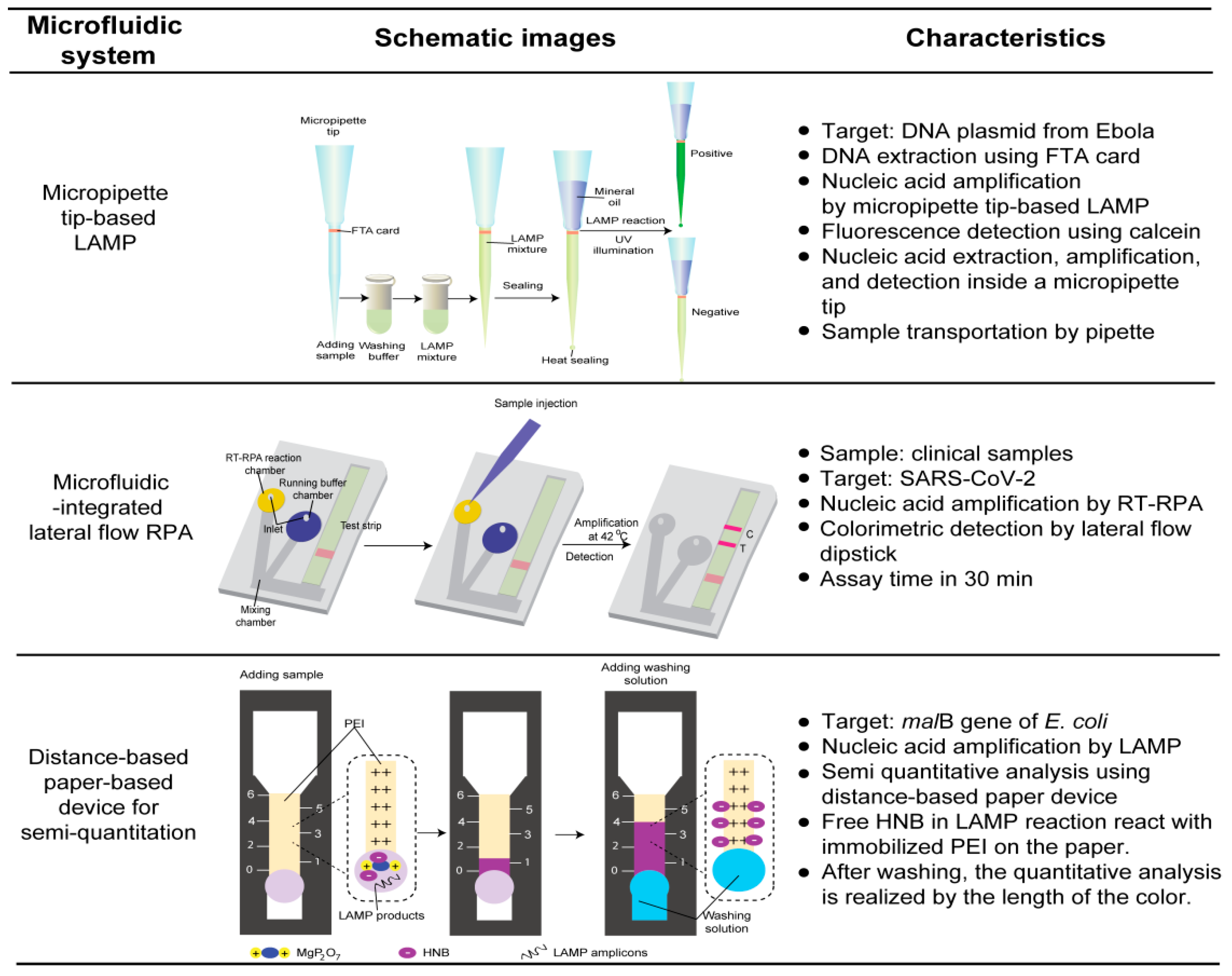Chemosensors 10 00123 g004