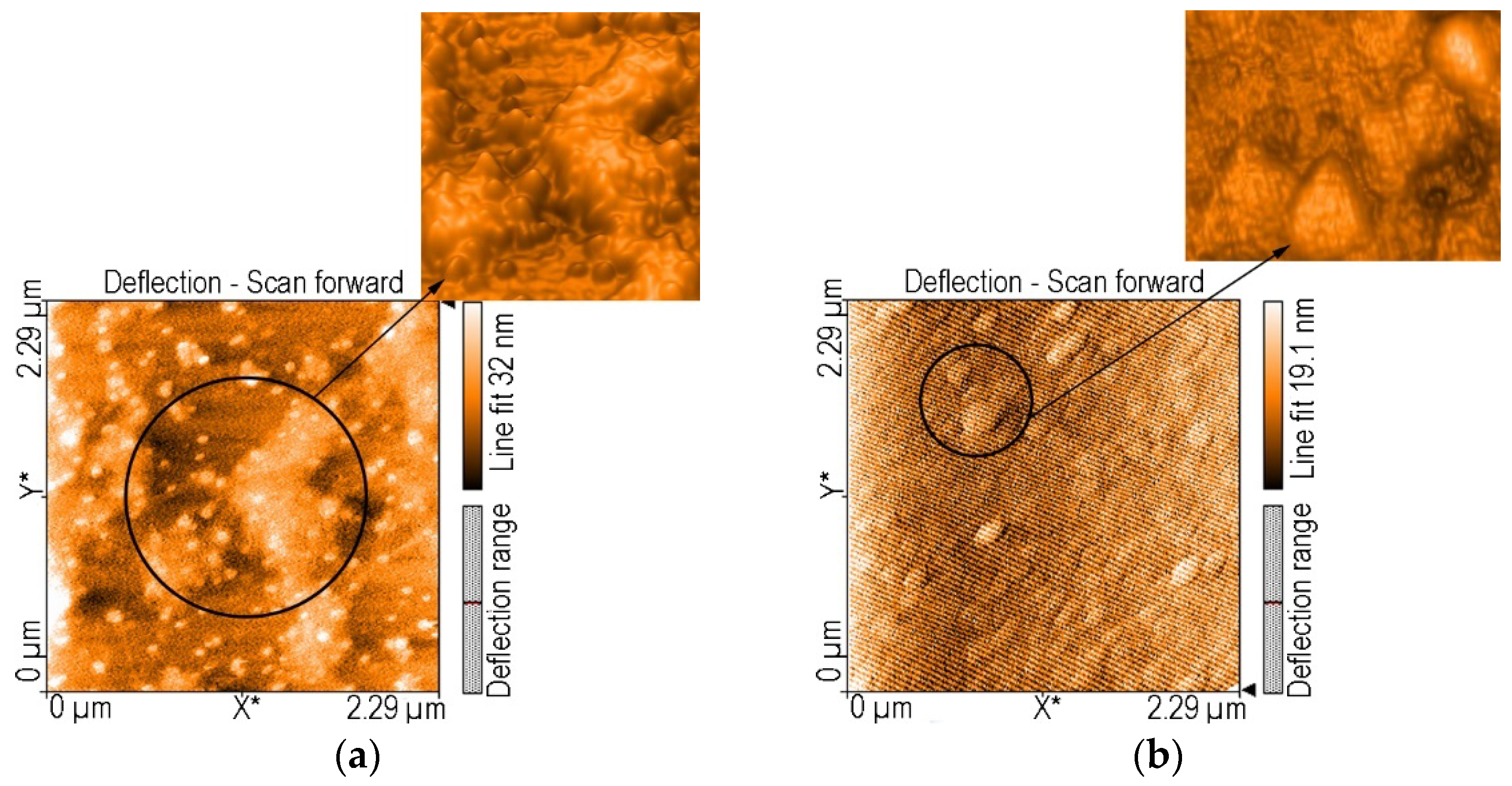 Chemosensors 10 00133 g012