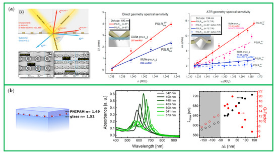 Chemosensors 10 00136 g008a 550