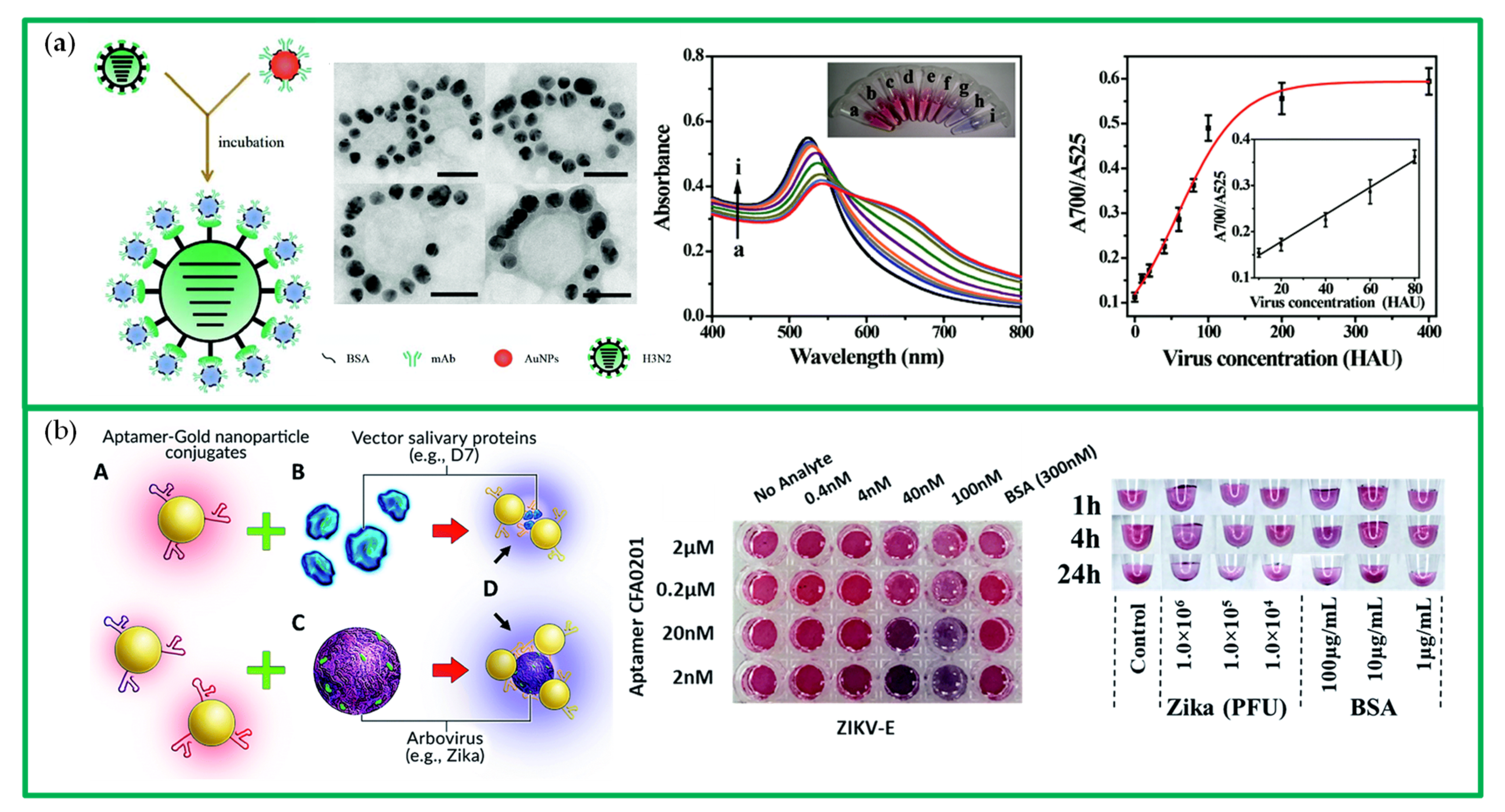 Chemosensors 10 00136 g011