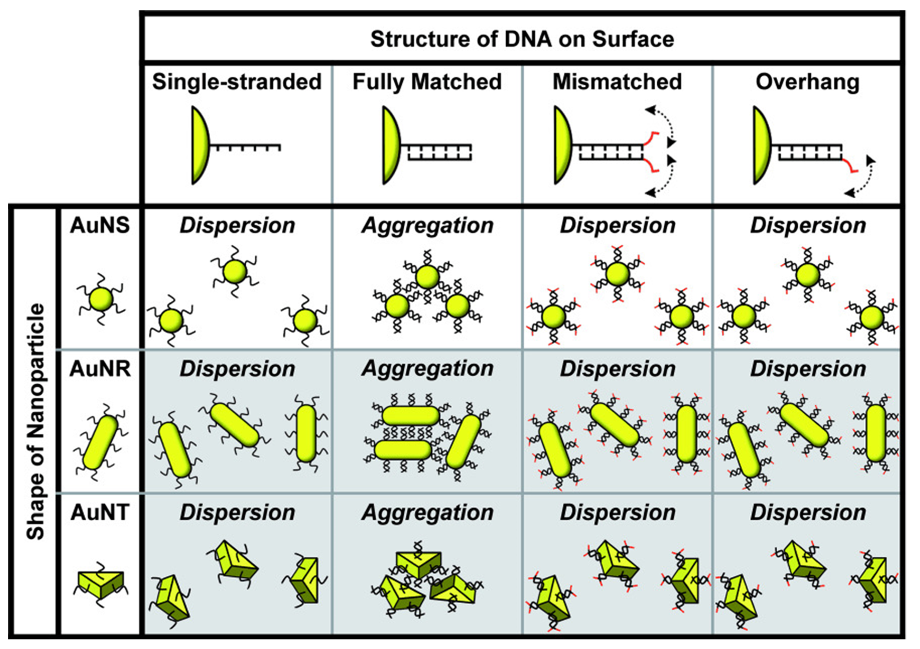 Chemosensors 10 00136 g012