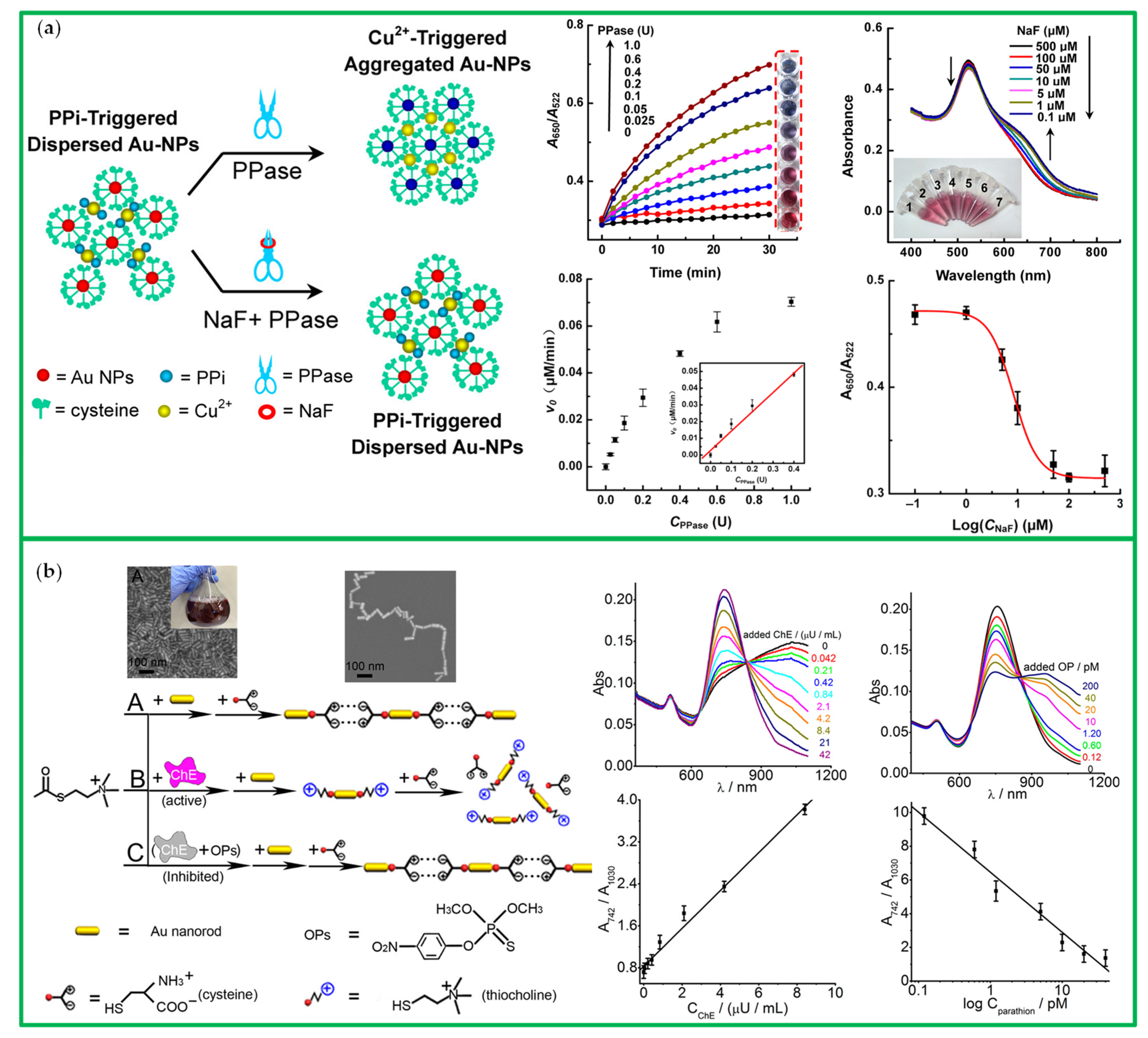 Chemosensors 10 00136 g013
