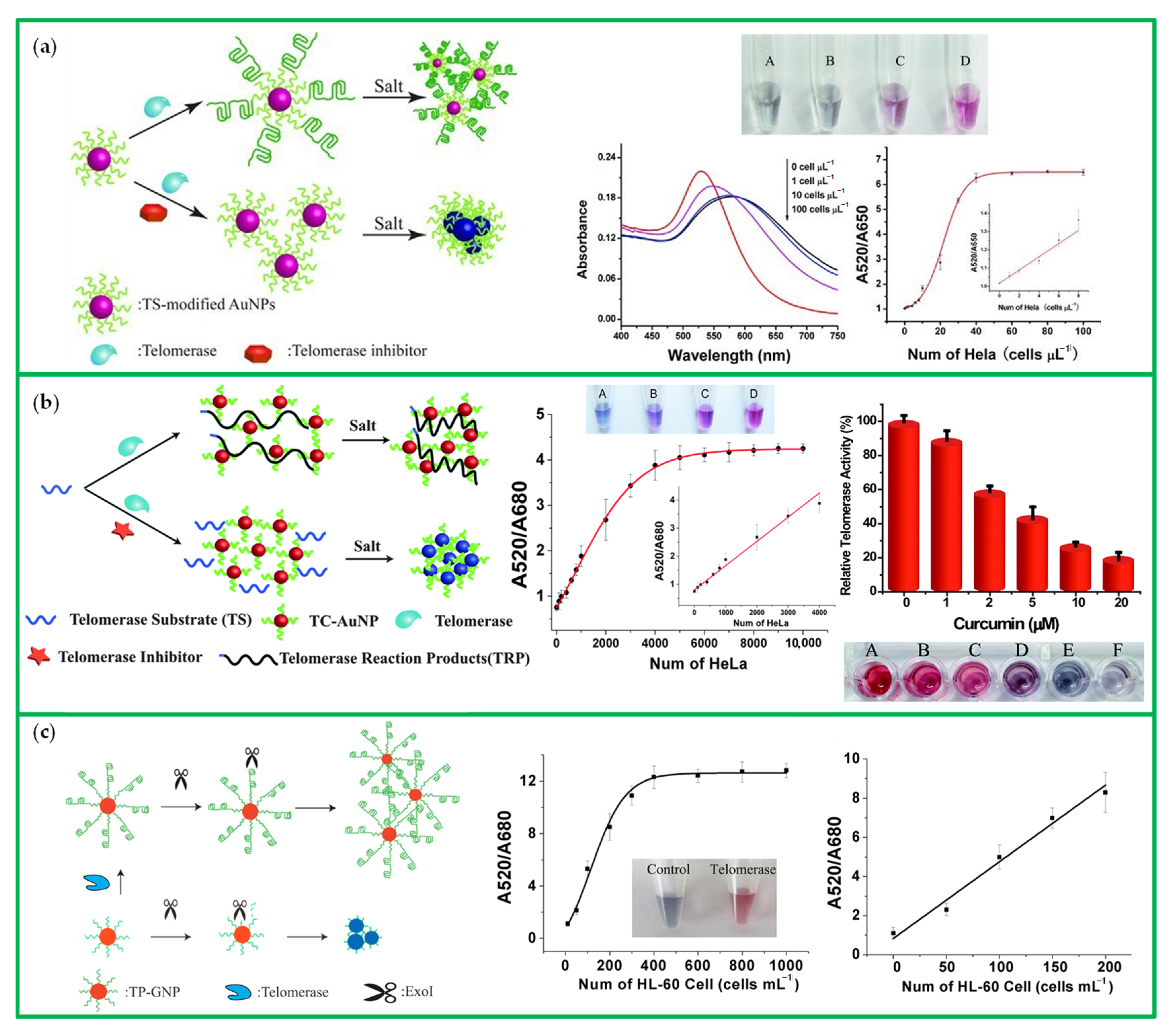 Chemosensors 10 00136 g014