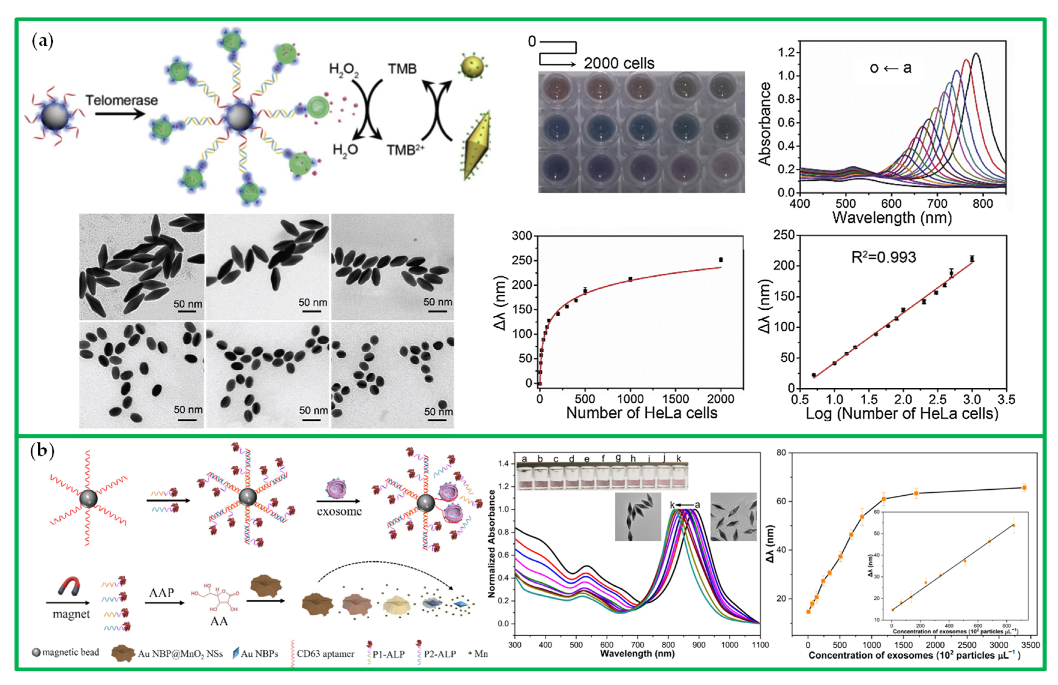 Chemosensors 10 00136 g021