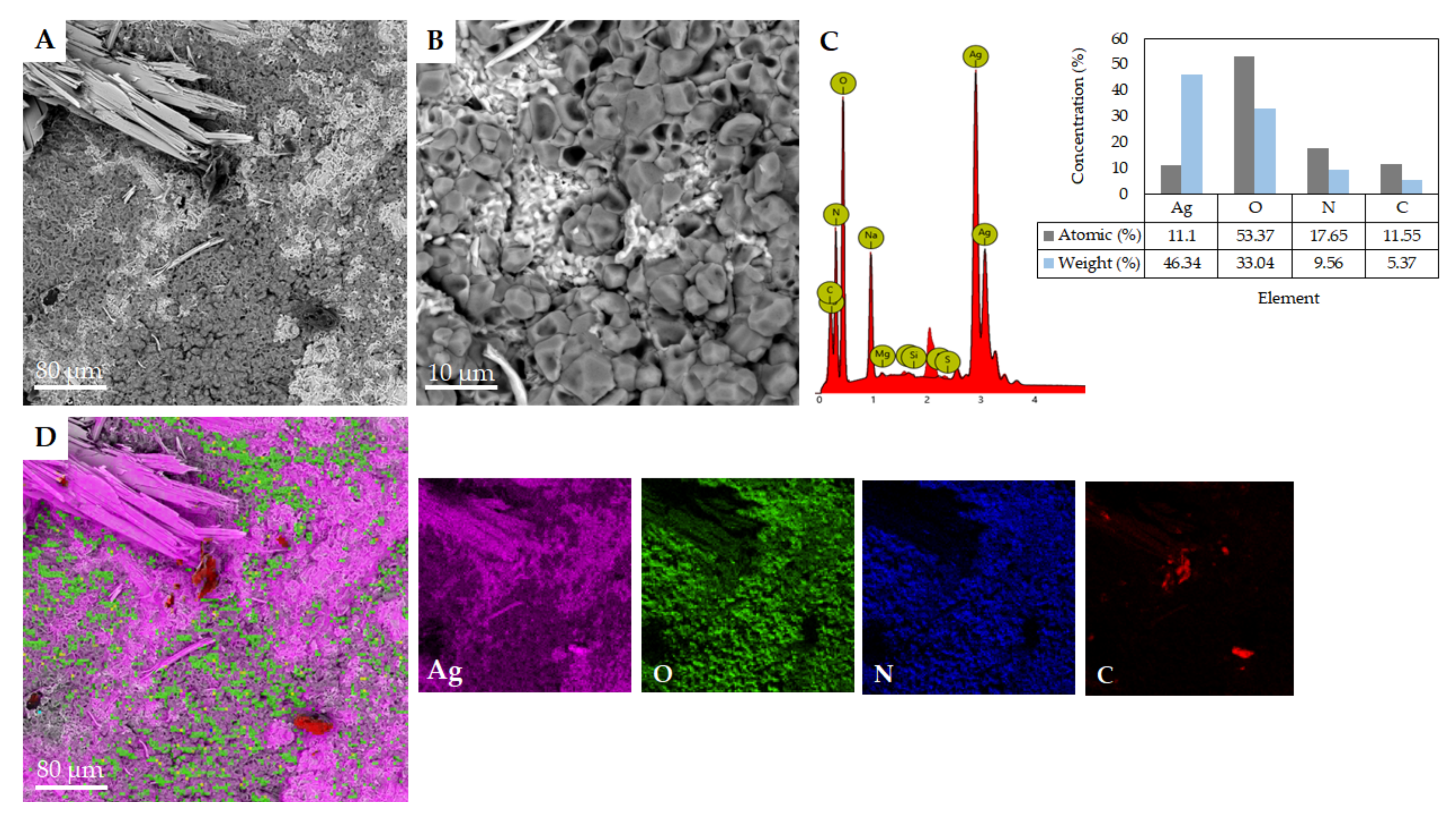 Chemosensors 10 00138 g001