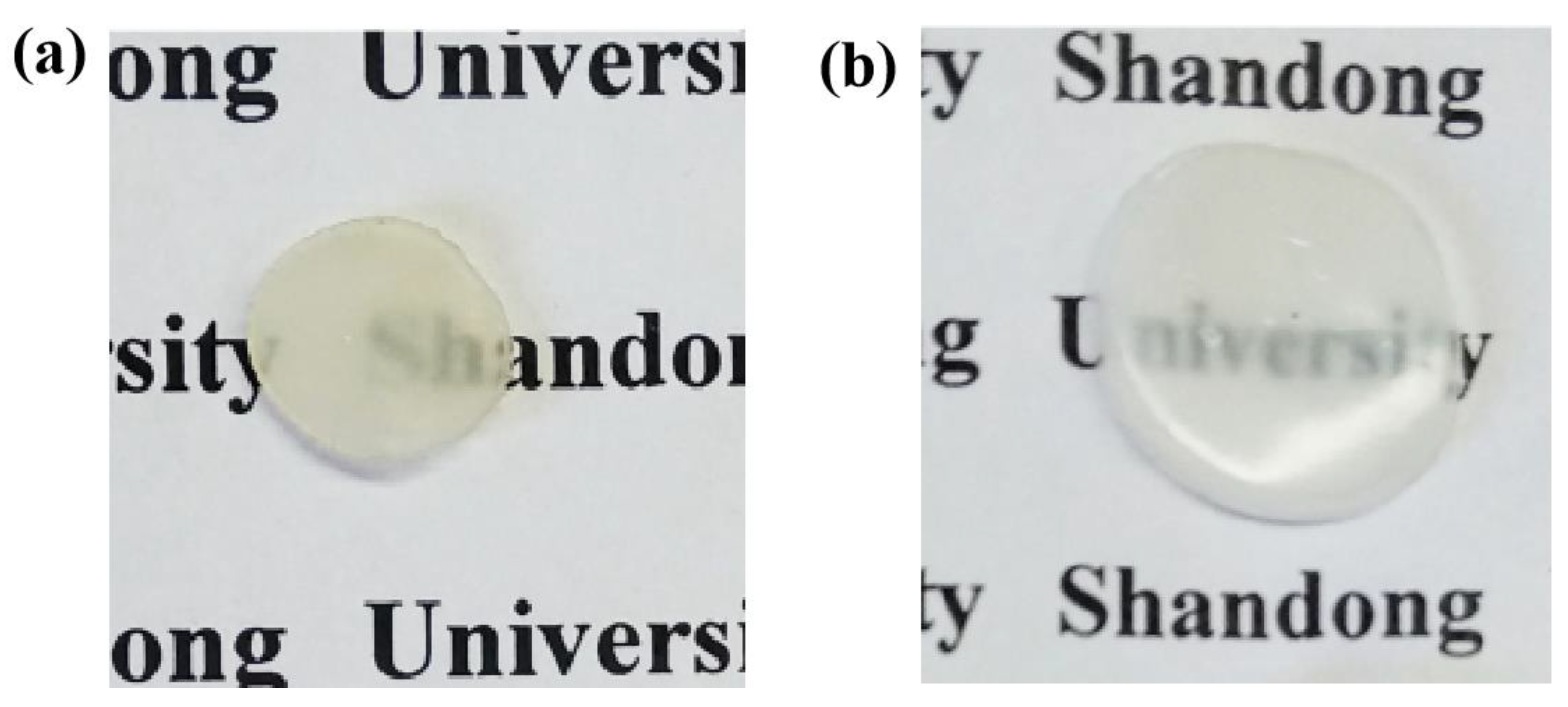 Chemosensors 10 00140 g002