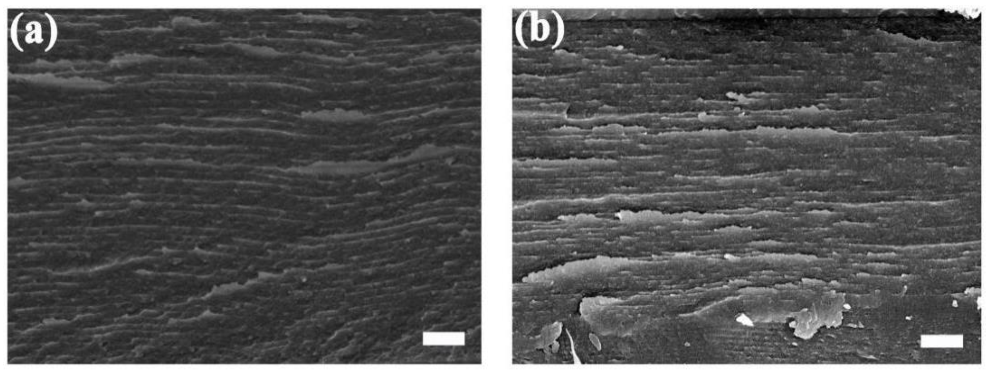 Chemosensors 10 00140 g005