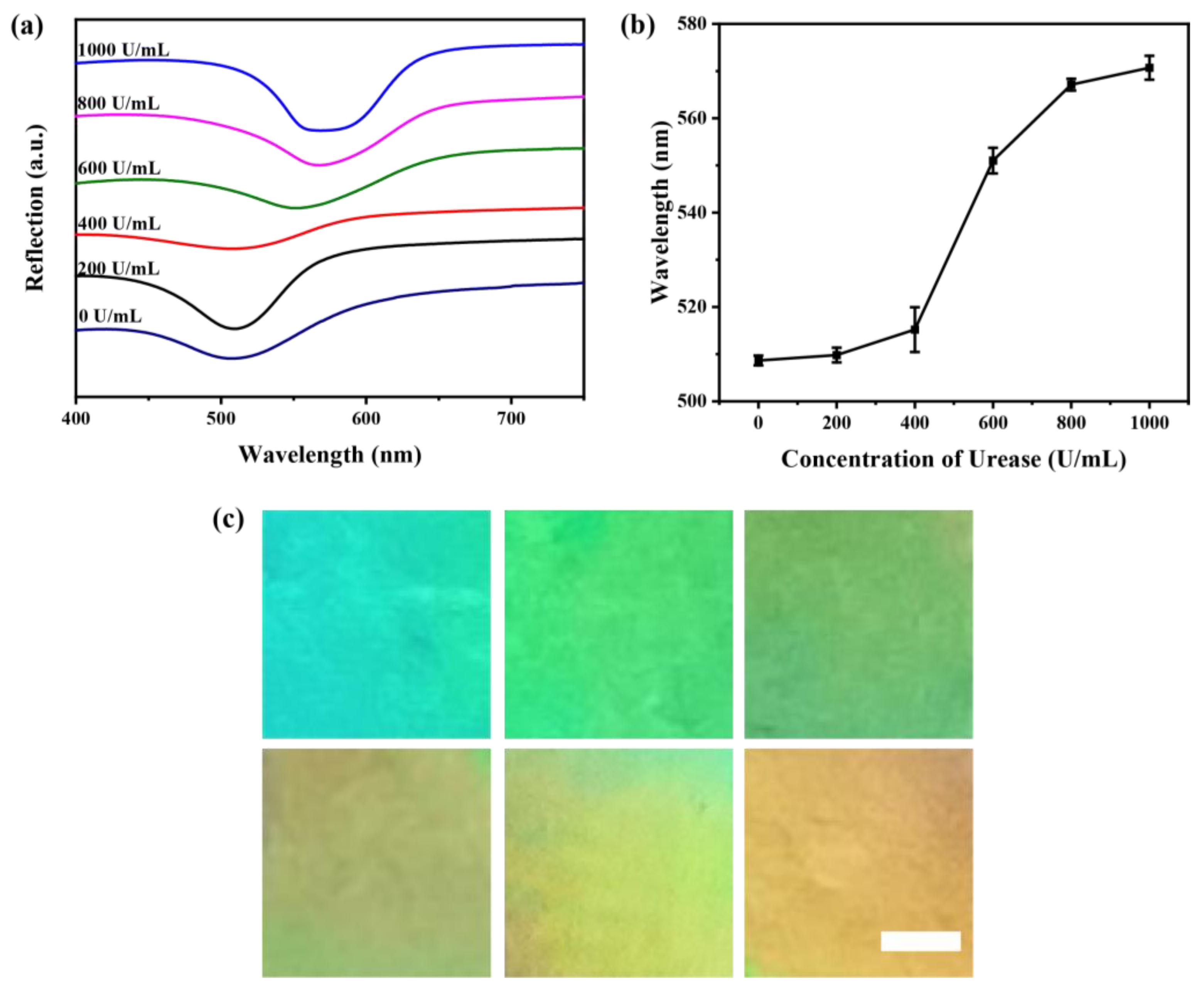 Chemosensors 10 00140 g010