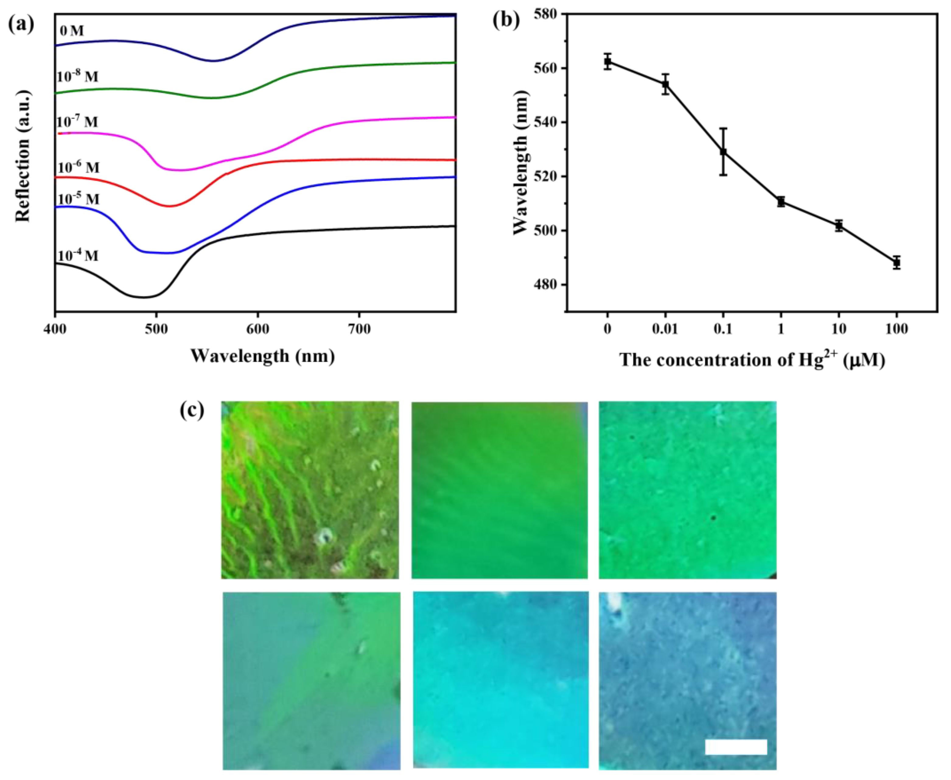 Chemosensors 10 00140 g011