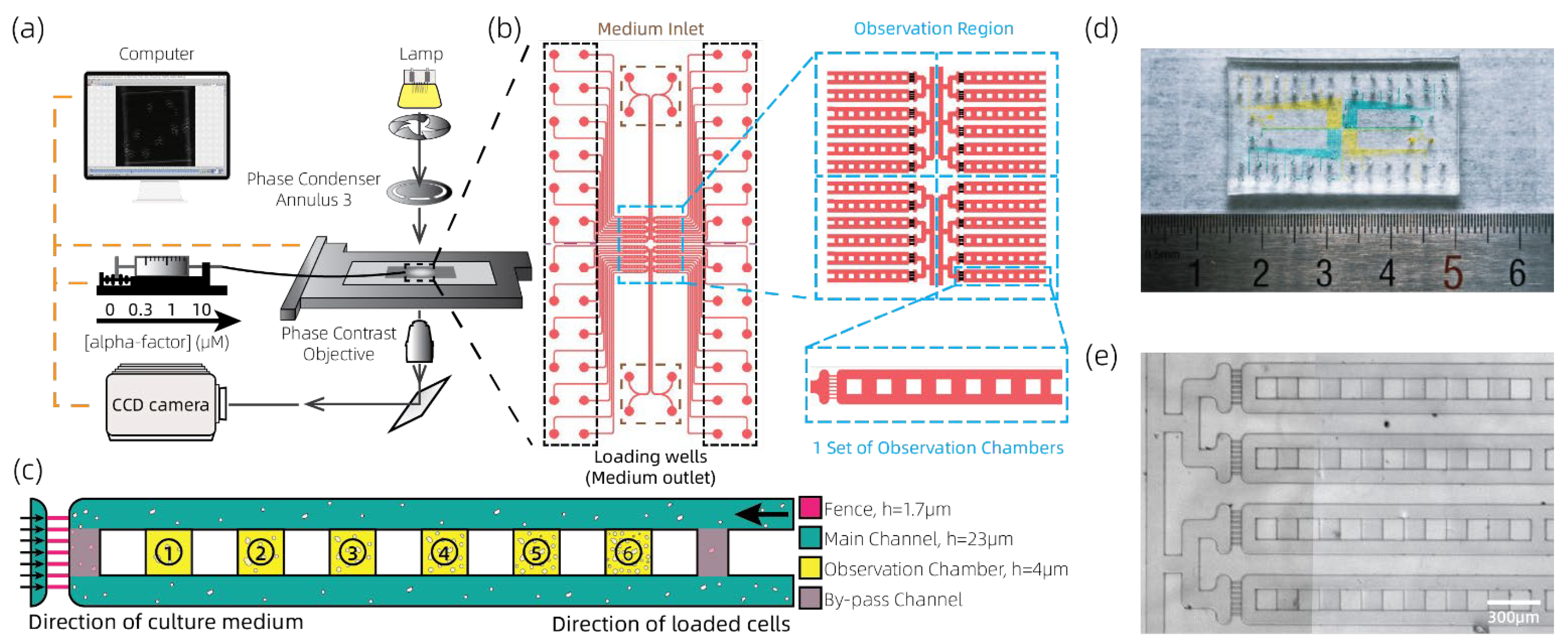 Chemosensors 10 00141 g001 Chemosensors 10 00141 g001