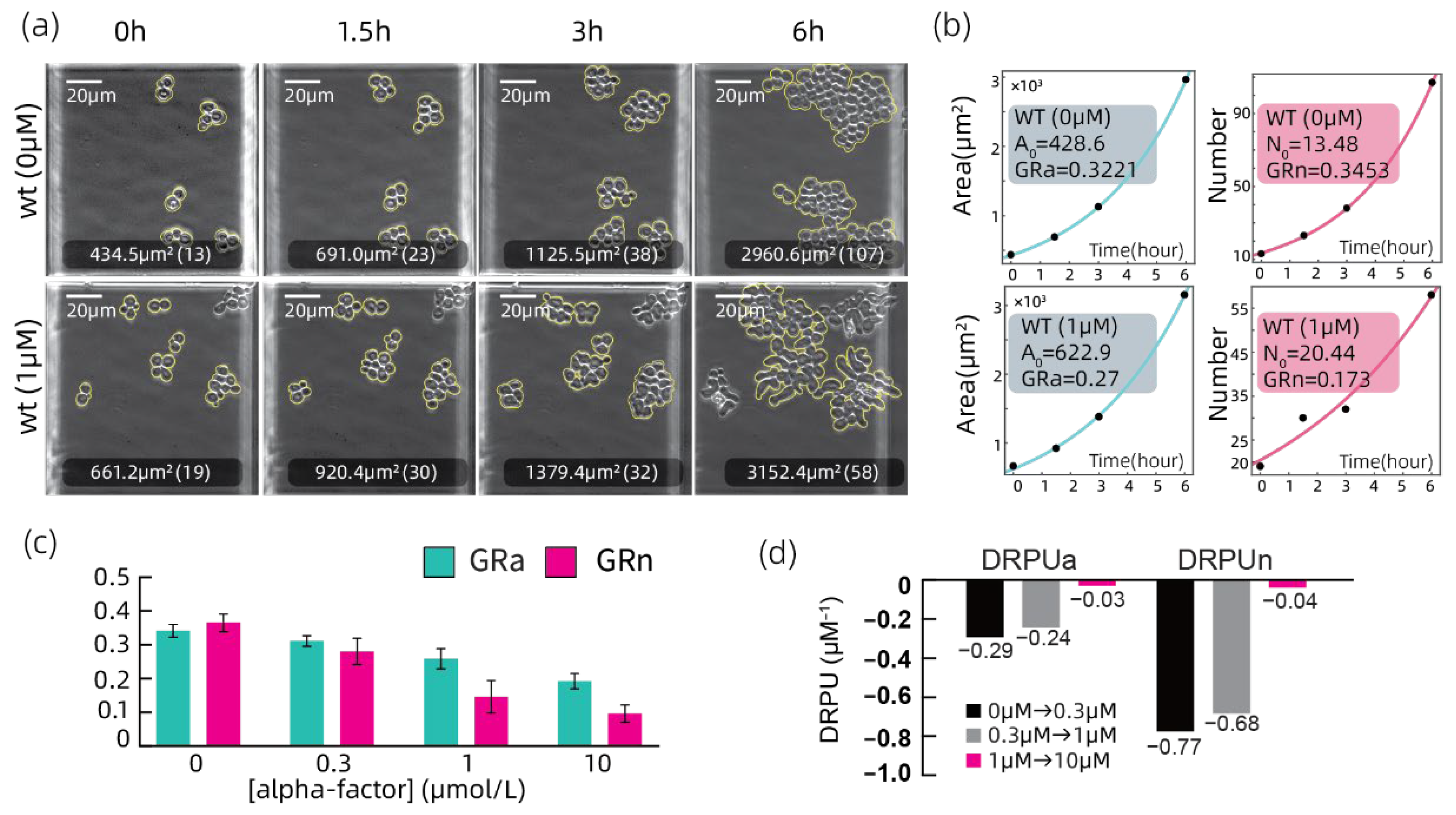 Chemosensors 10 00141 g005 Chemosensors 10 00141 g005