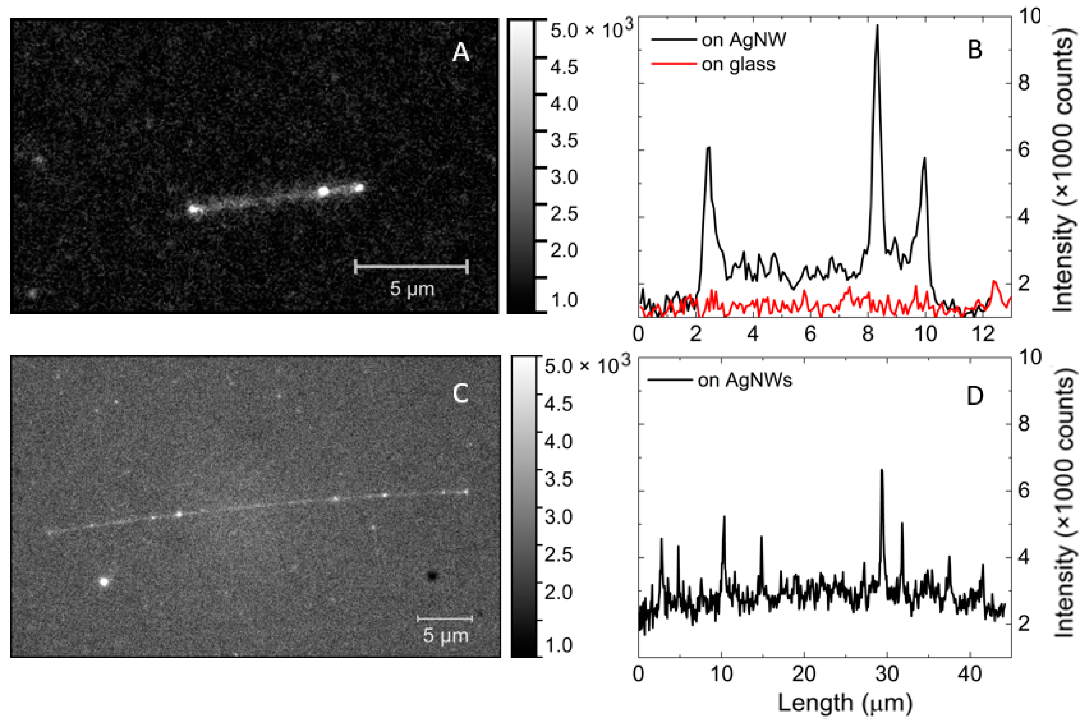 Chemosensors 10 00149 g002