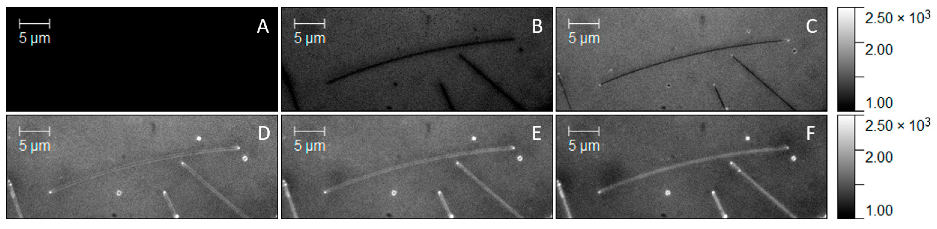 Chemosensors 10 00149 g006