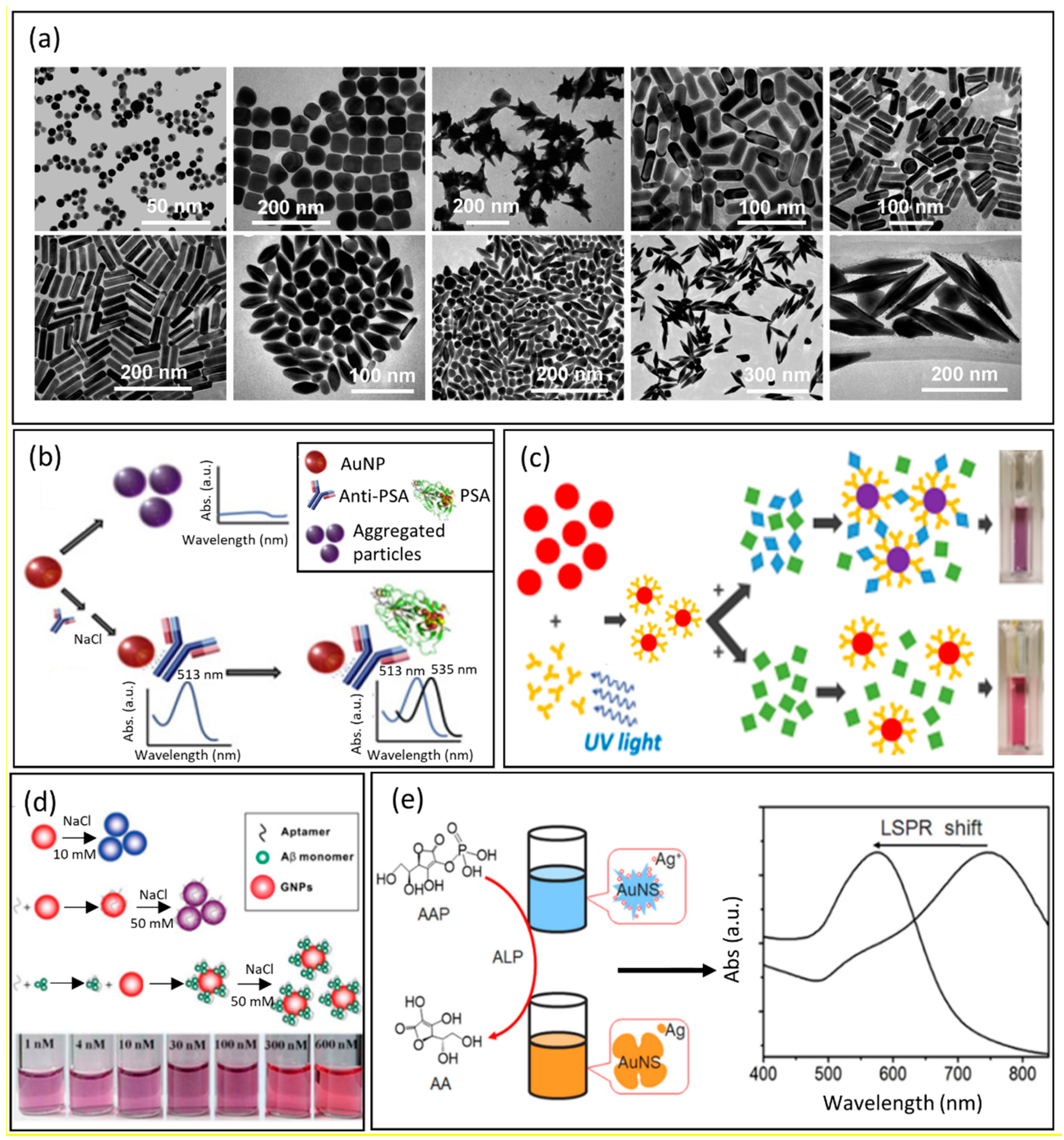 Chemosensors 10 00150 g001
