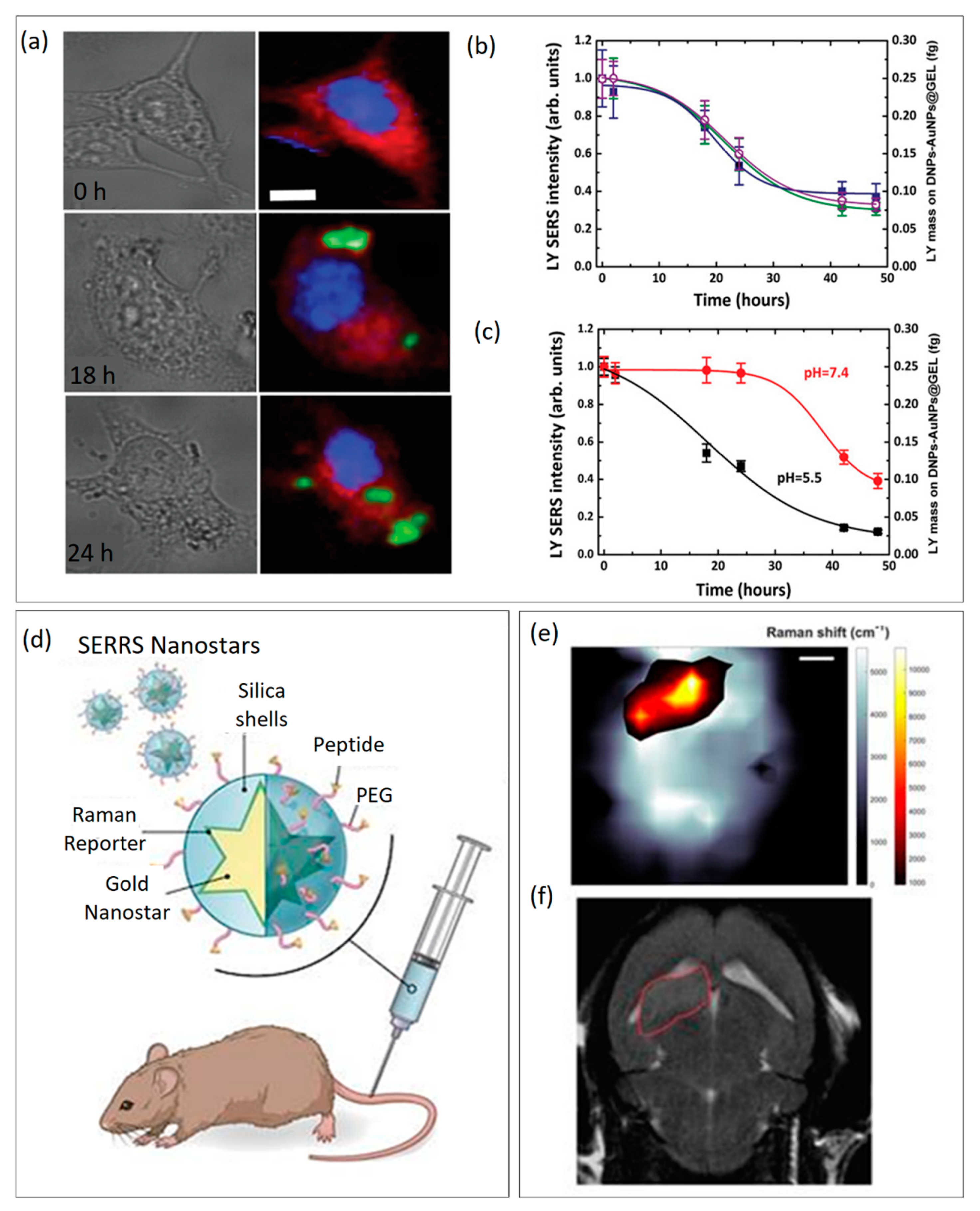Chemosensors 10 00150 g002