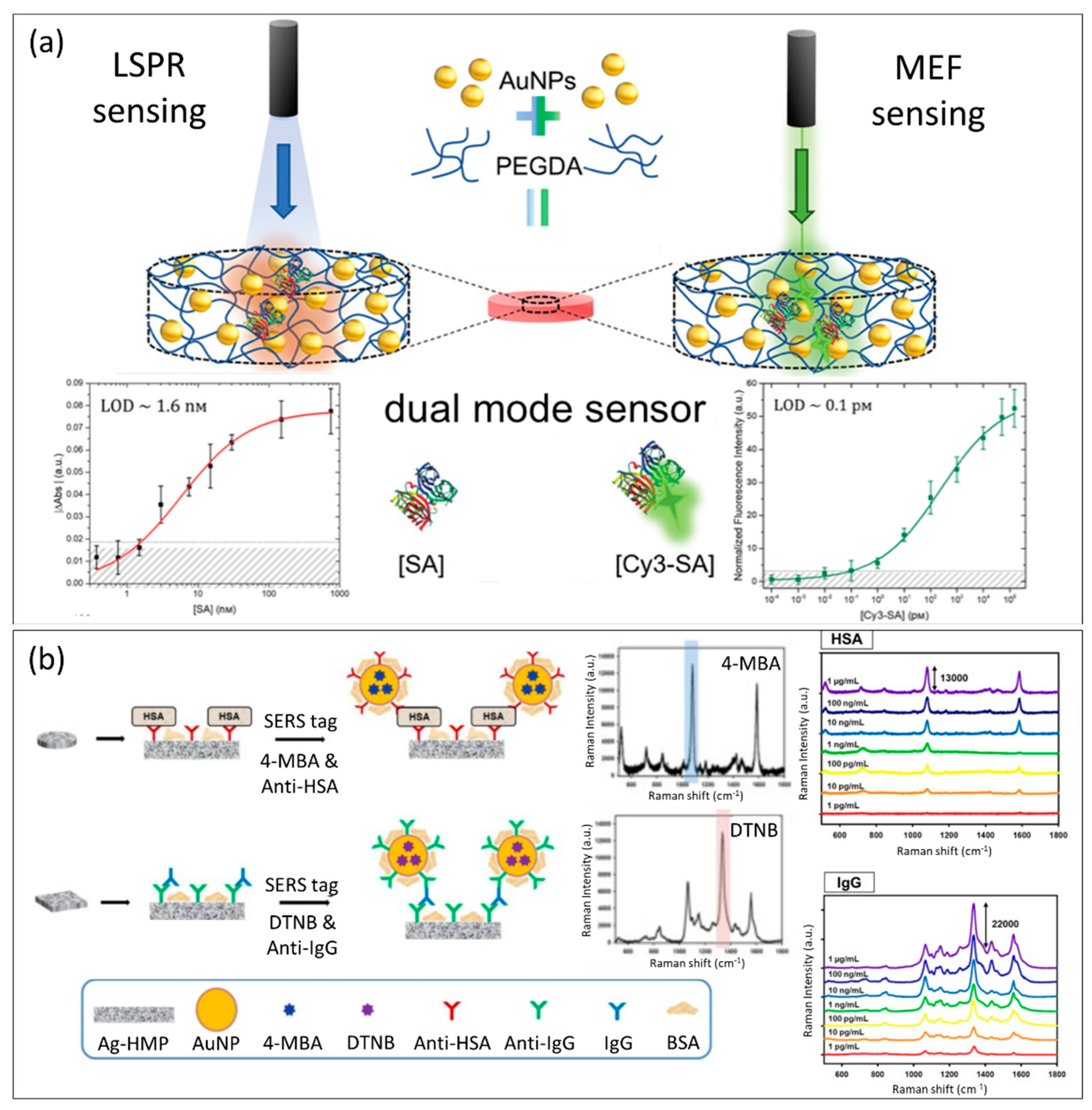 Chemosensors 10 00150 g005