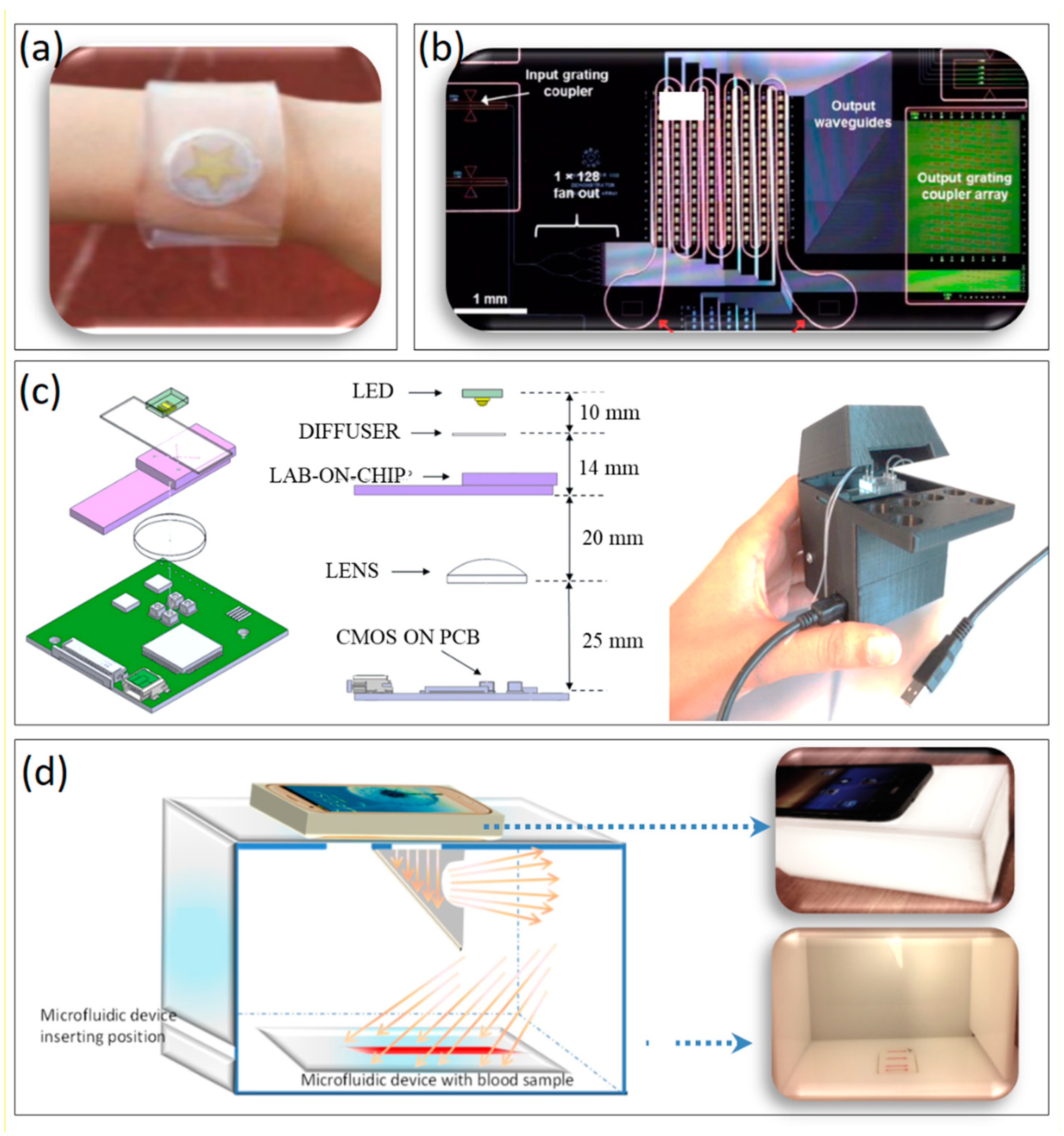 Chemosensors 10 00150 g006