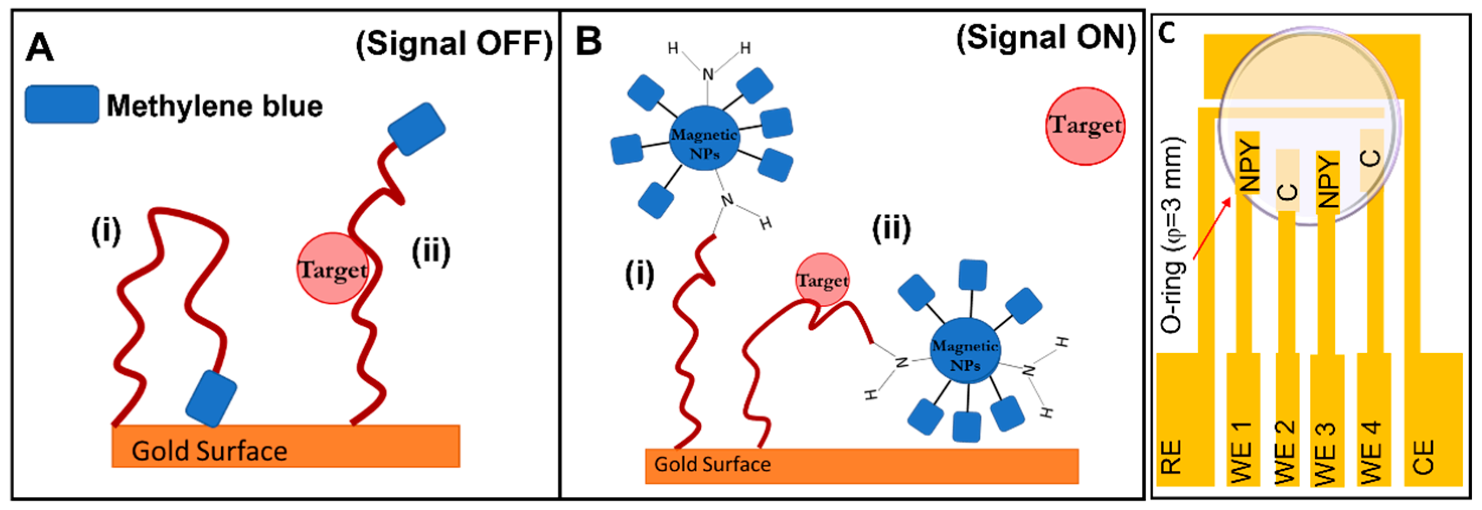 Chemosensors 10 00153 sch001